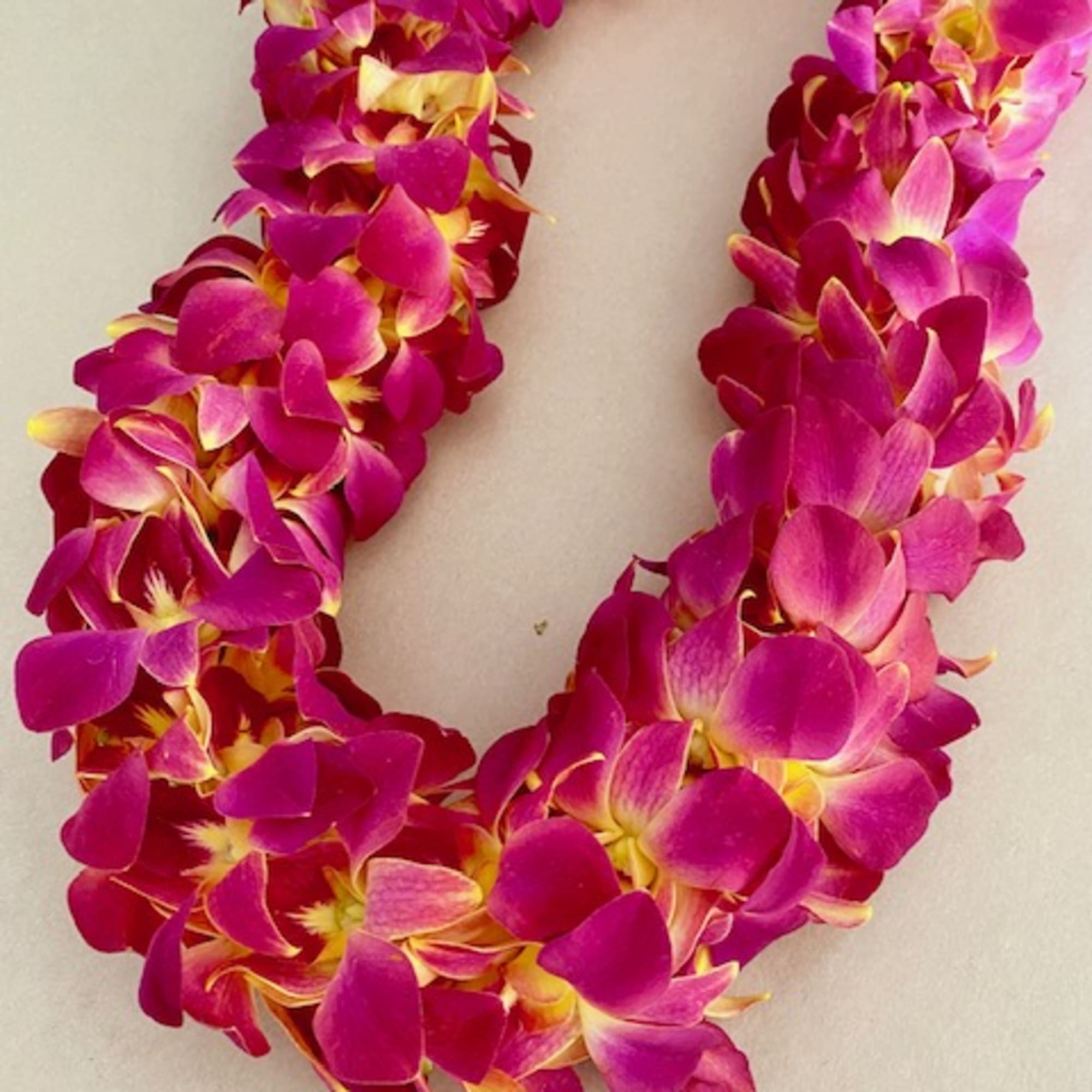 Pink and magenta orchid lei on a light background