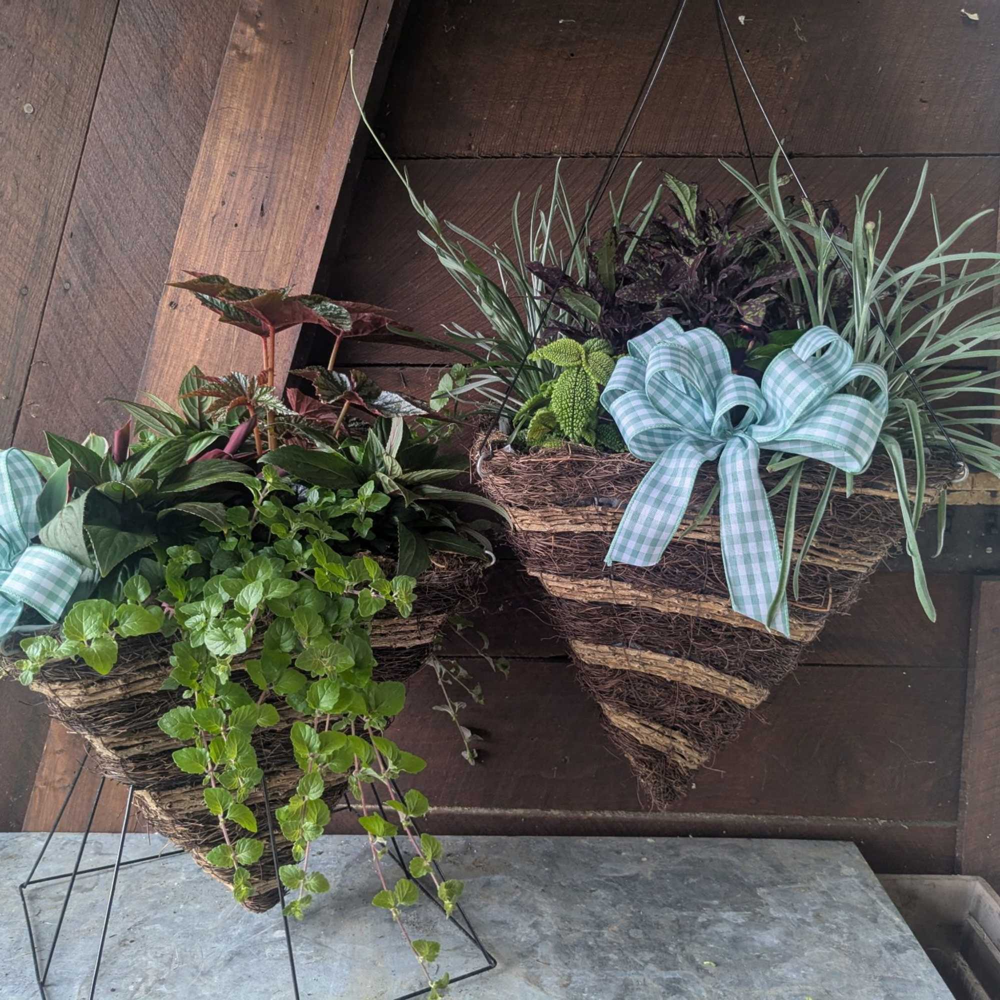 Two hanging baskets of mixed potted plants with blue plaid bows