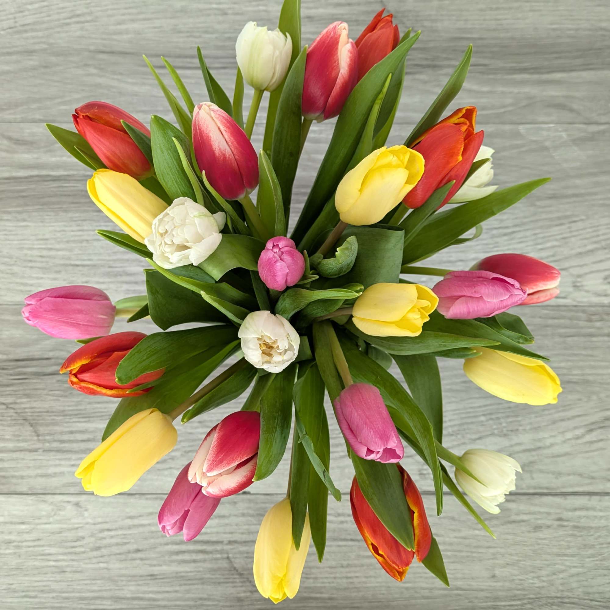 Colorful tulip bouquet with mixed blooms on a gray surface