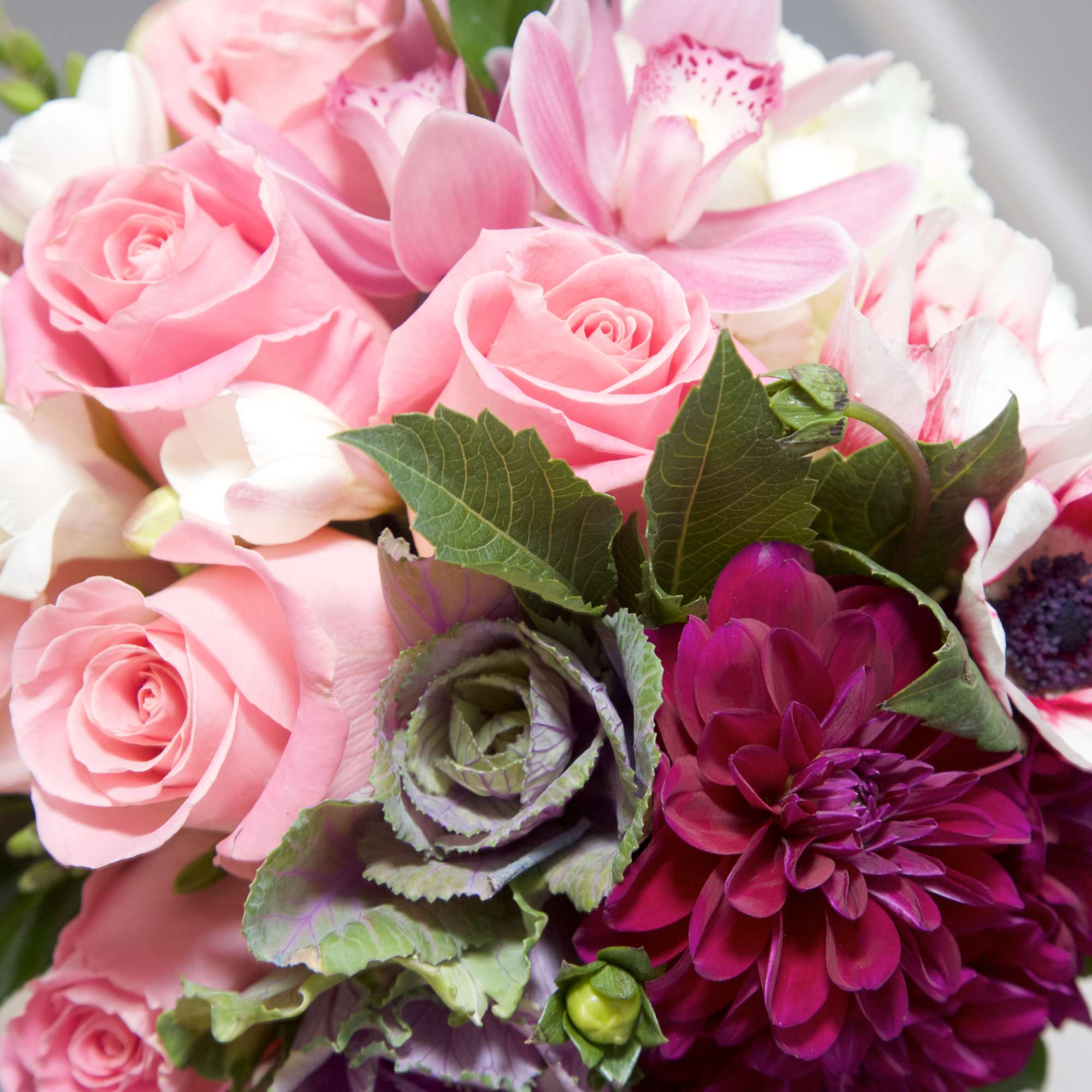 Crowd-pleasing Dahlias, championed pink Peonies and frosty Dusty Miller compose this choice