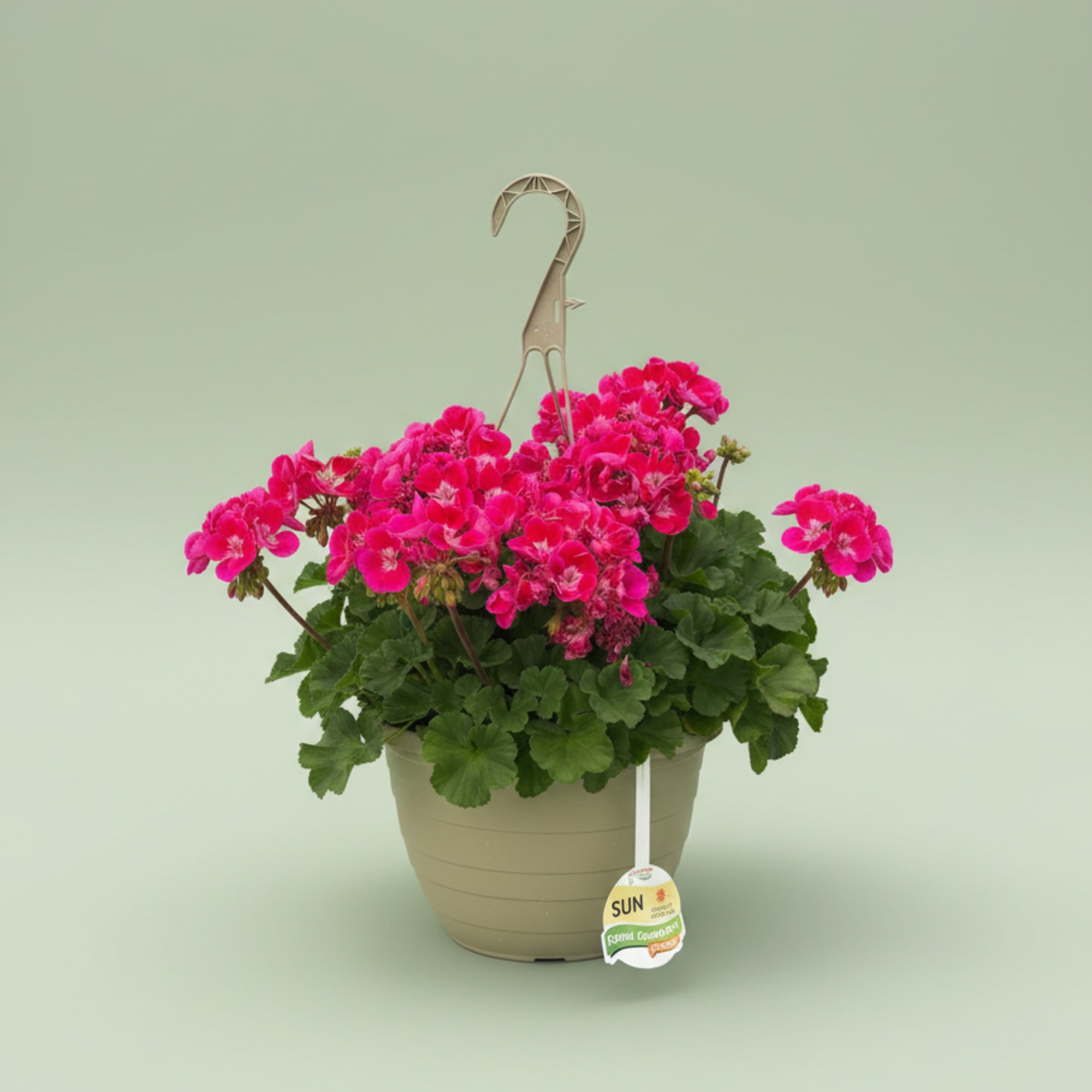 We will pick out the perfect hanging basket for you. We carry