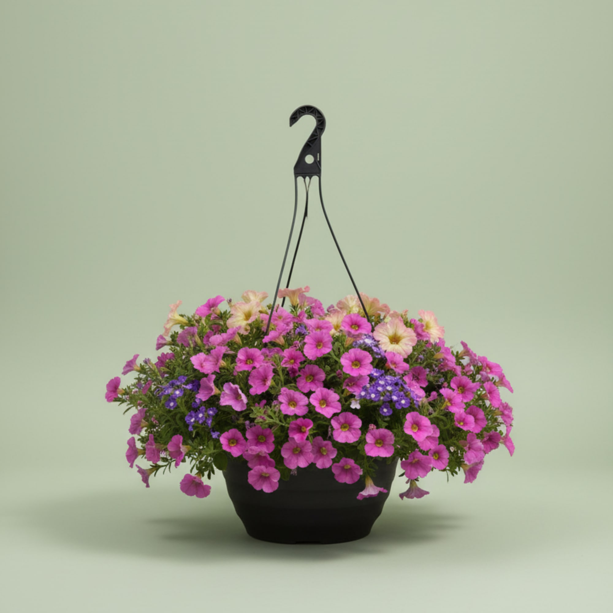 We will pick out the perfect hanging basket for you. We carry