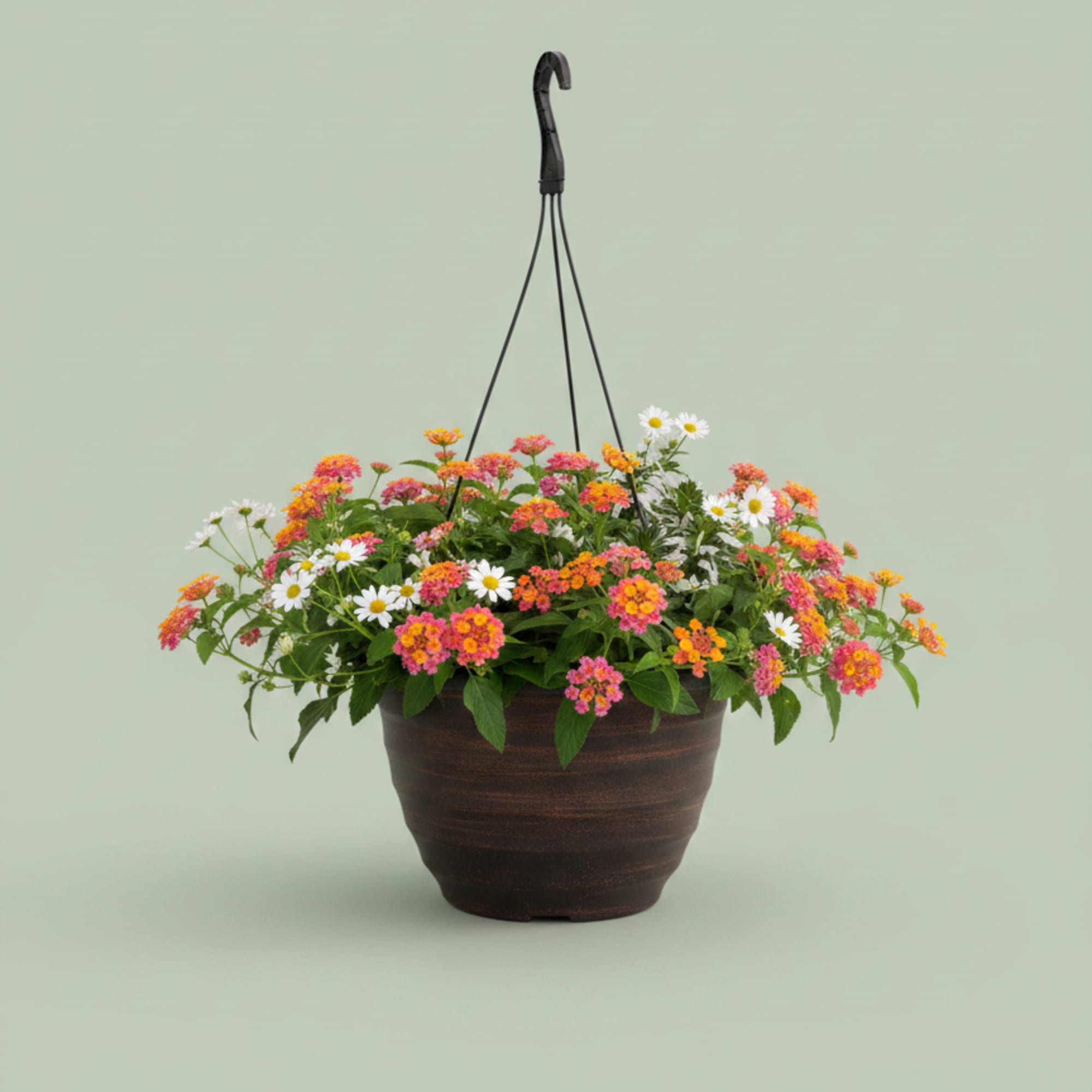 We will pick out the perfect hanging basket for you. We carry