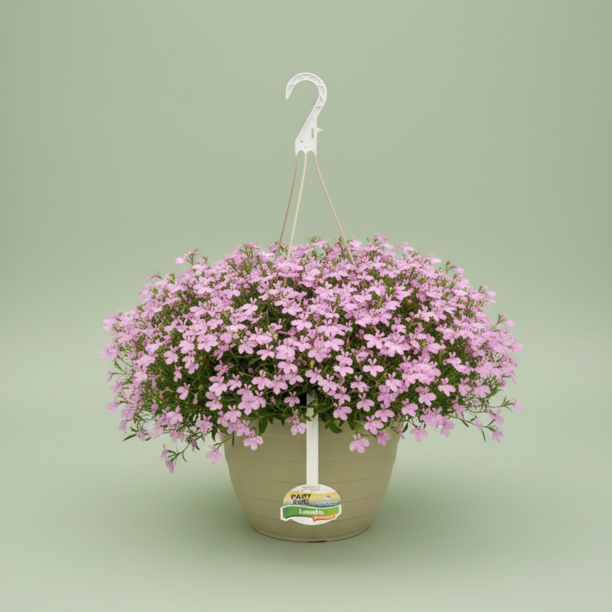 We will pick out the perfect hanging basket for you. We carry