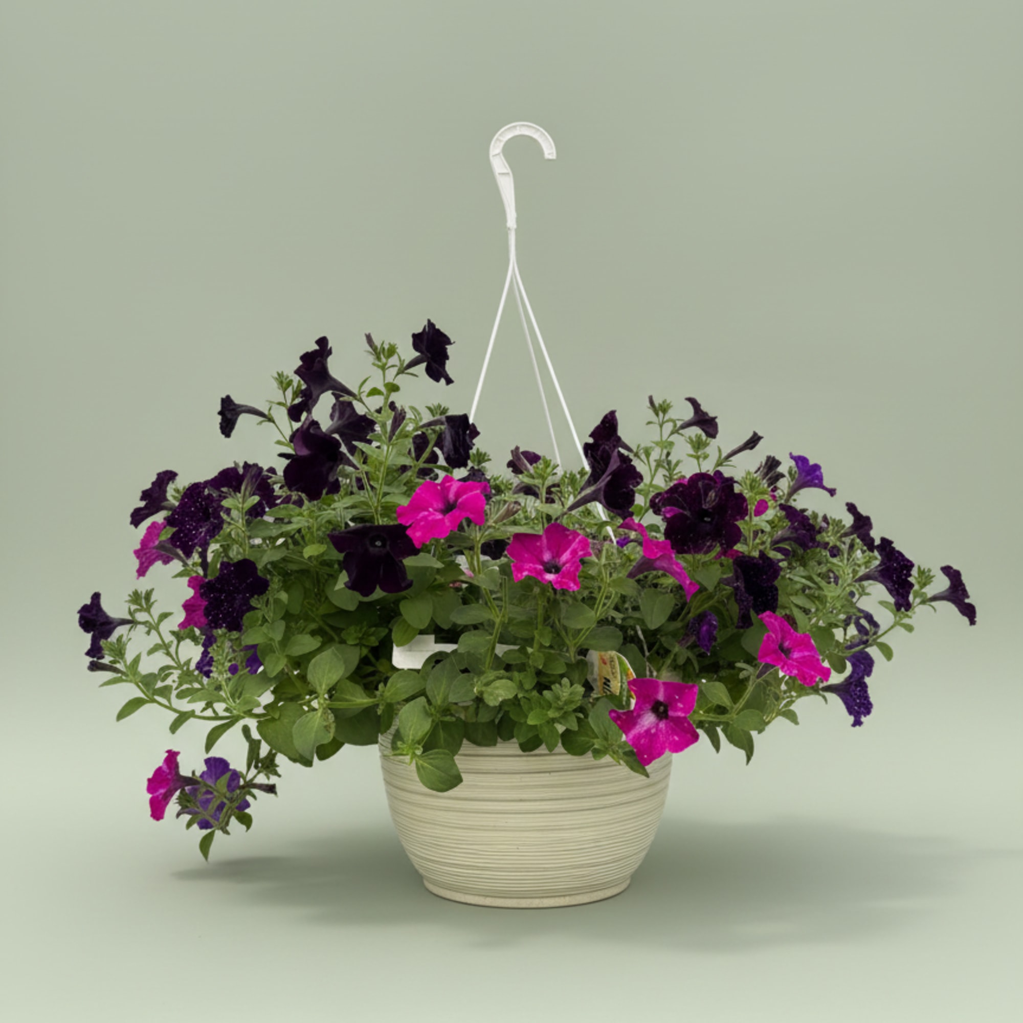 Varying colors and flowers in a hanging basket, perfect for a Mother&rsquo;s
