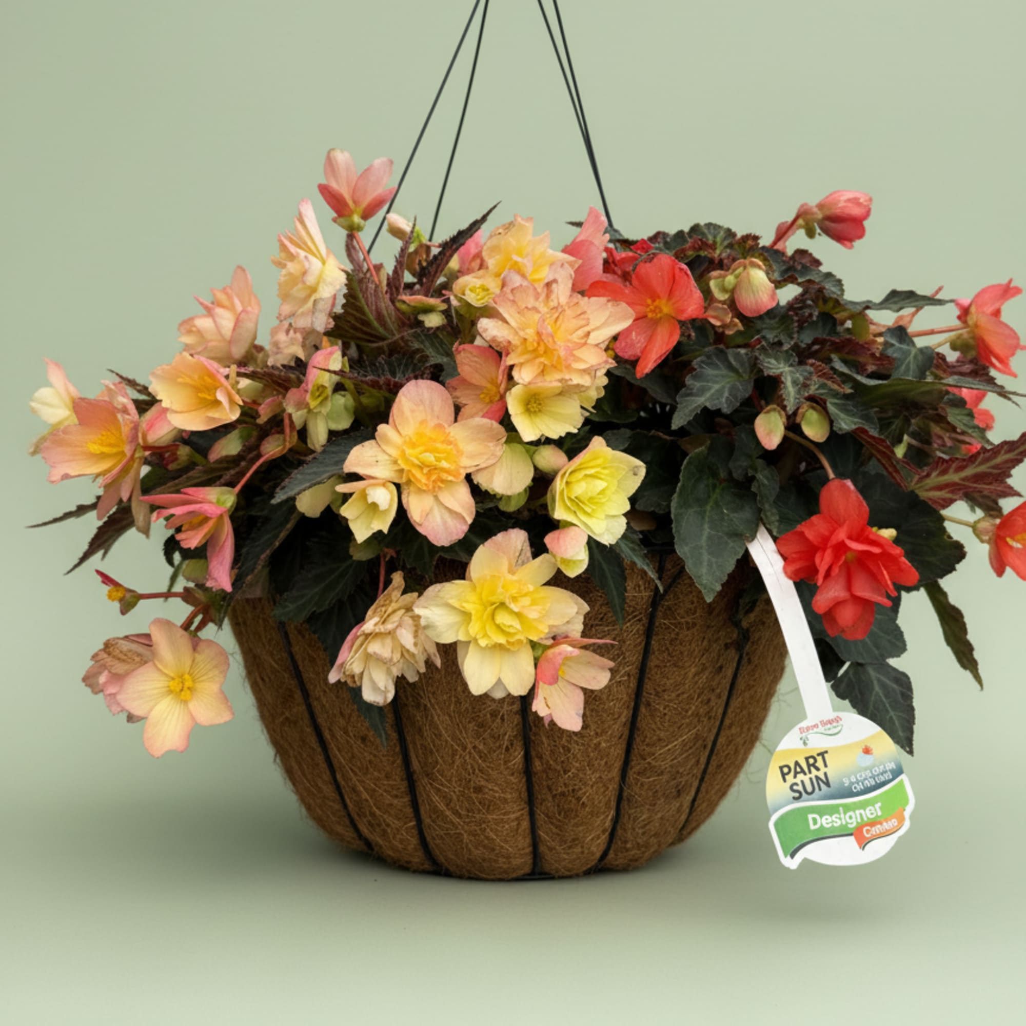 Varying colors and flowers in a hanging basket, perfect for a Mother&rsquo;s