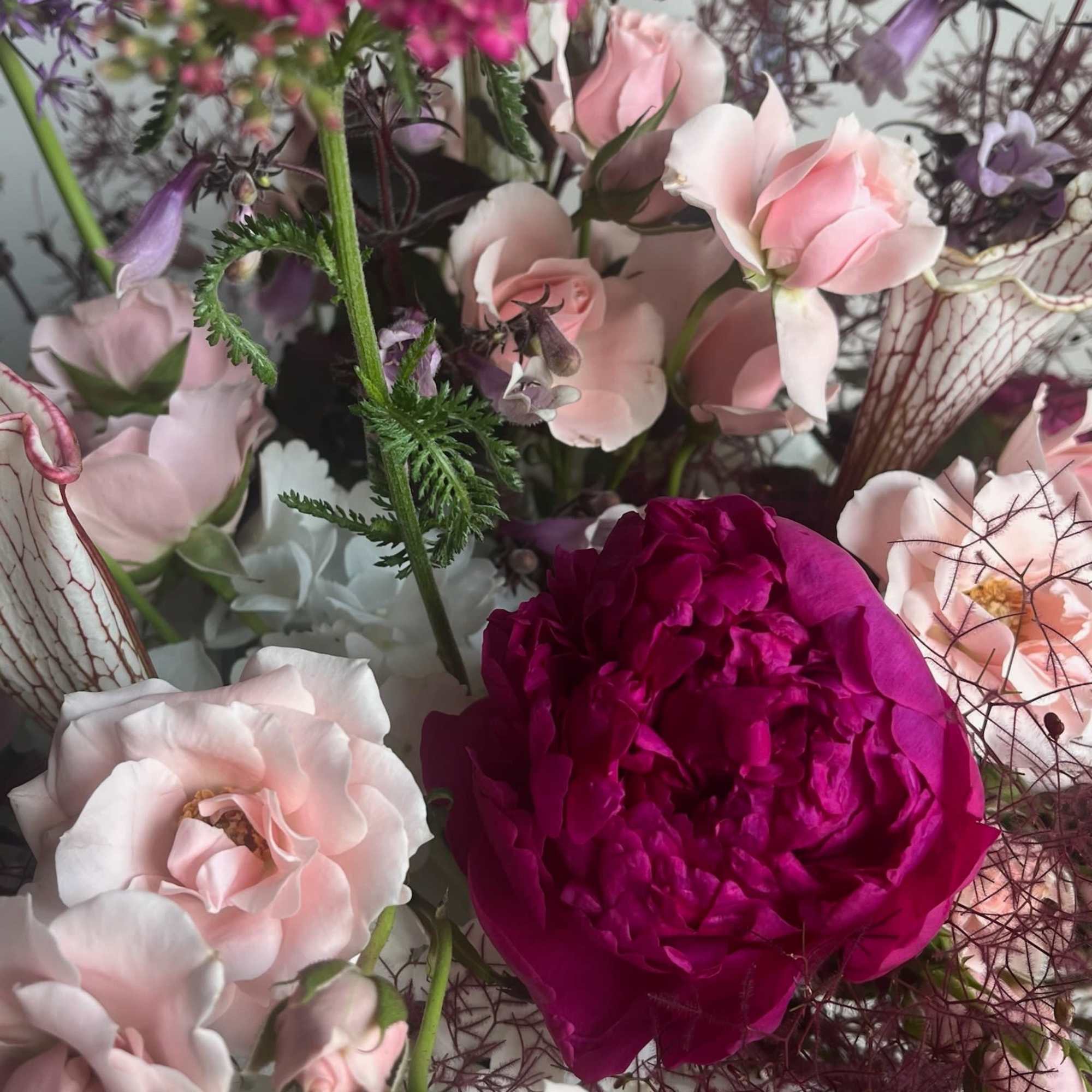 A graceful blend of soft blush and rich rosy pink blooms, Lady