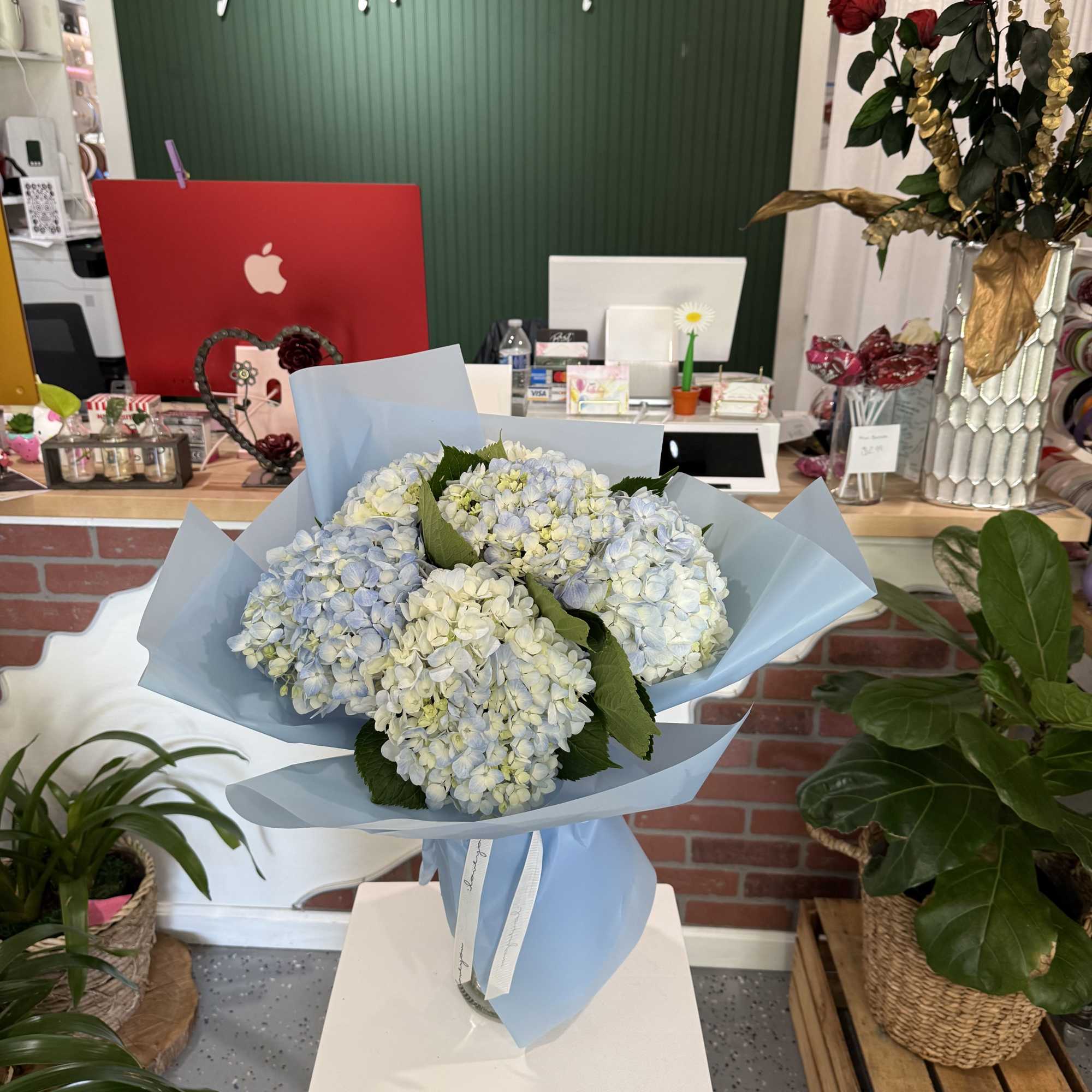 Bouquet of pale blue and white hydrangeas wrapped in light blue paper