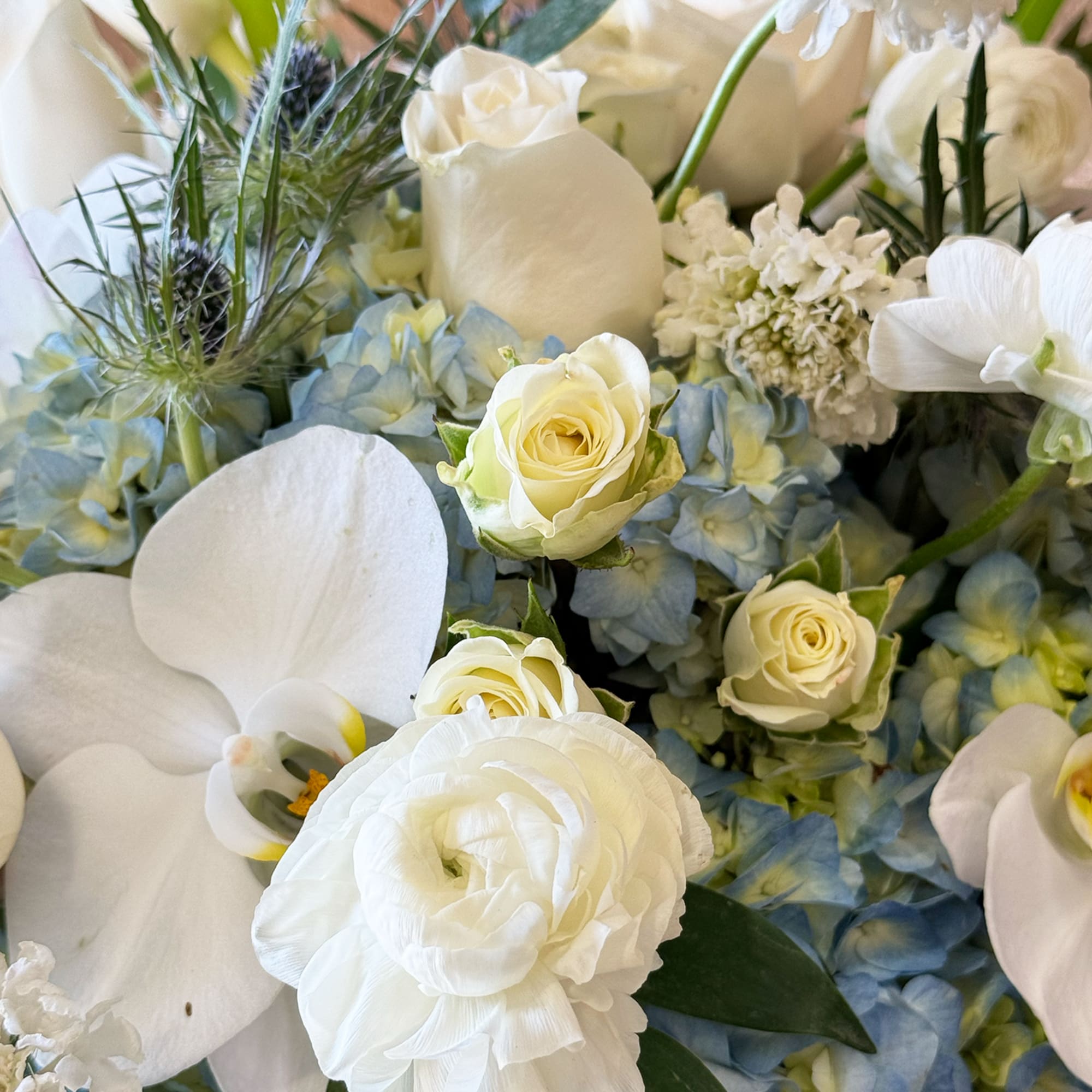 Beautiful round arrangement with a mixture of roses, blue hydrangeas, spray roses