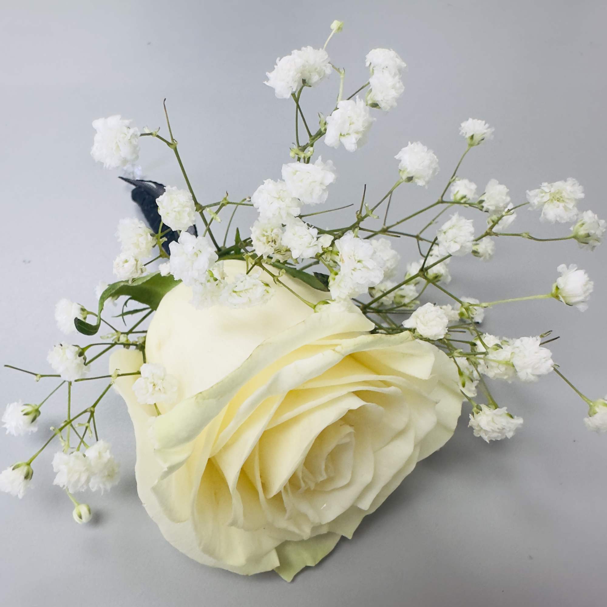 A single white rose takes center stage in this refined white rose