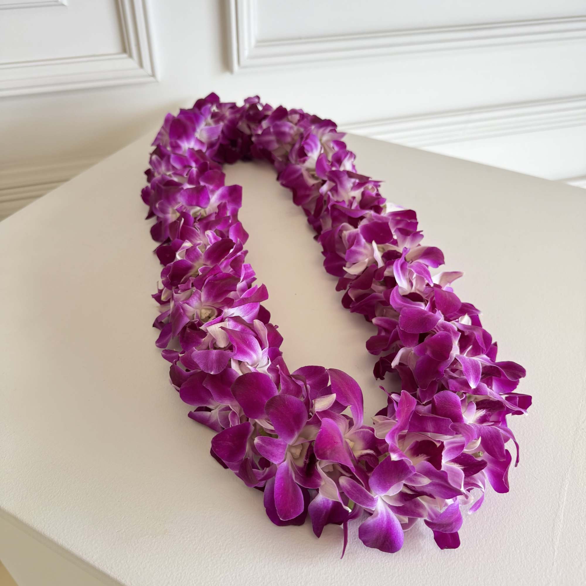 Fresh Orchid Lei for Graduation 

Celebrate your grad in style with our