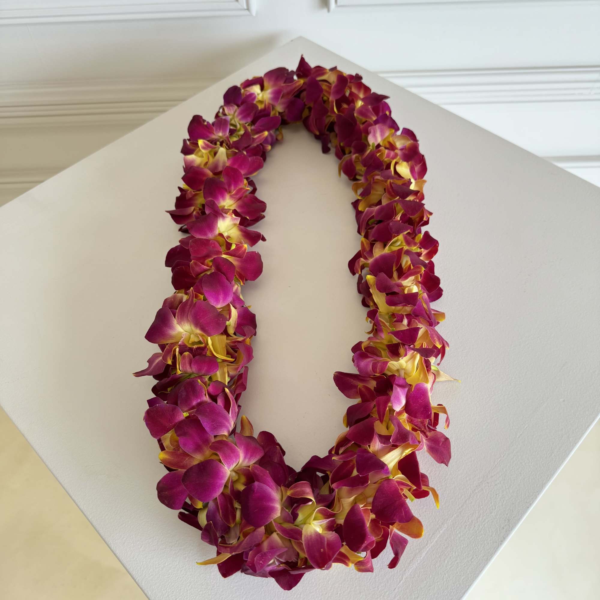 Fresh Orchid Lei for Graduation 

Celebrate your grad in style with our