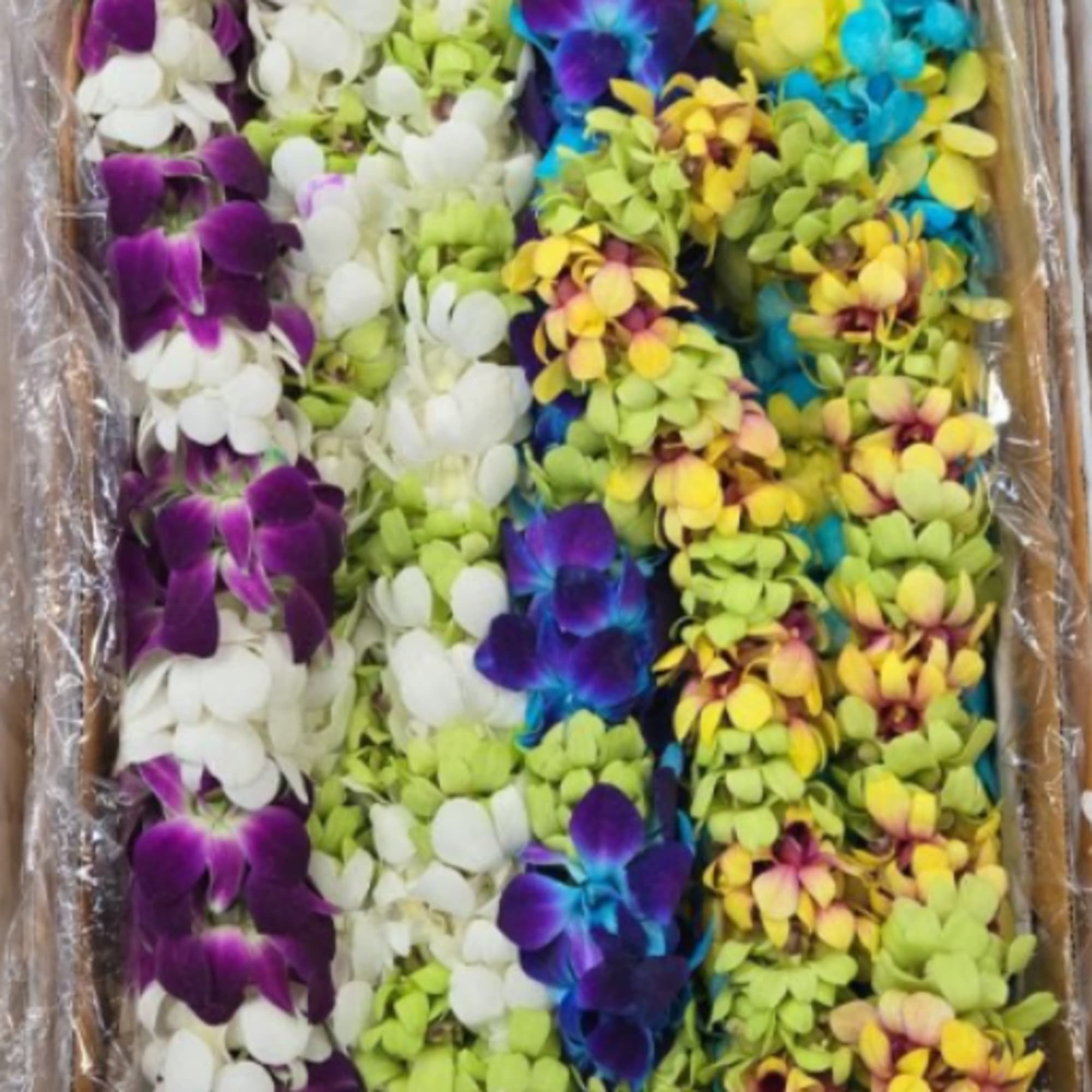 Graduation leis made of orchids in various colors. Please specify your desired