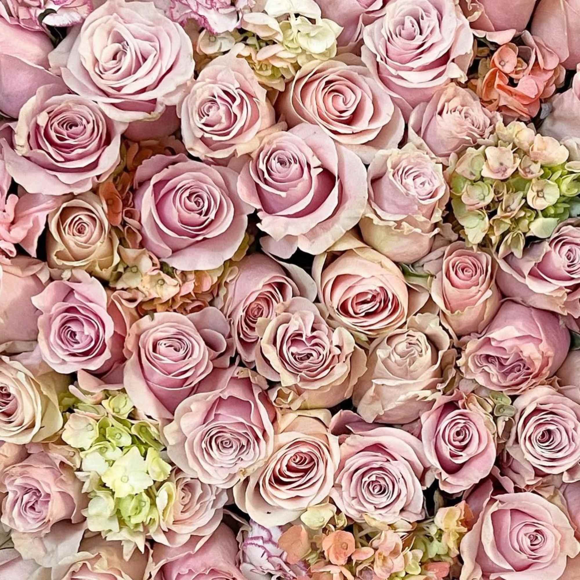 Cluster of pale pink roses with small cream and peach blossoms