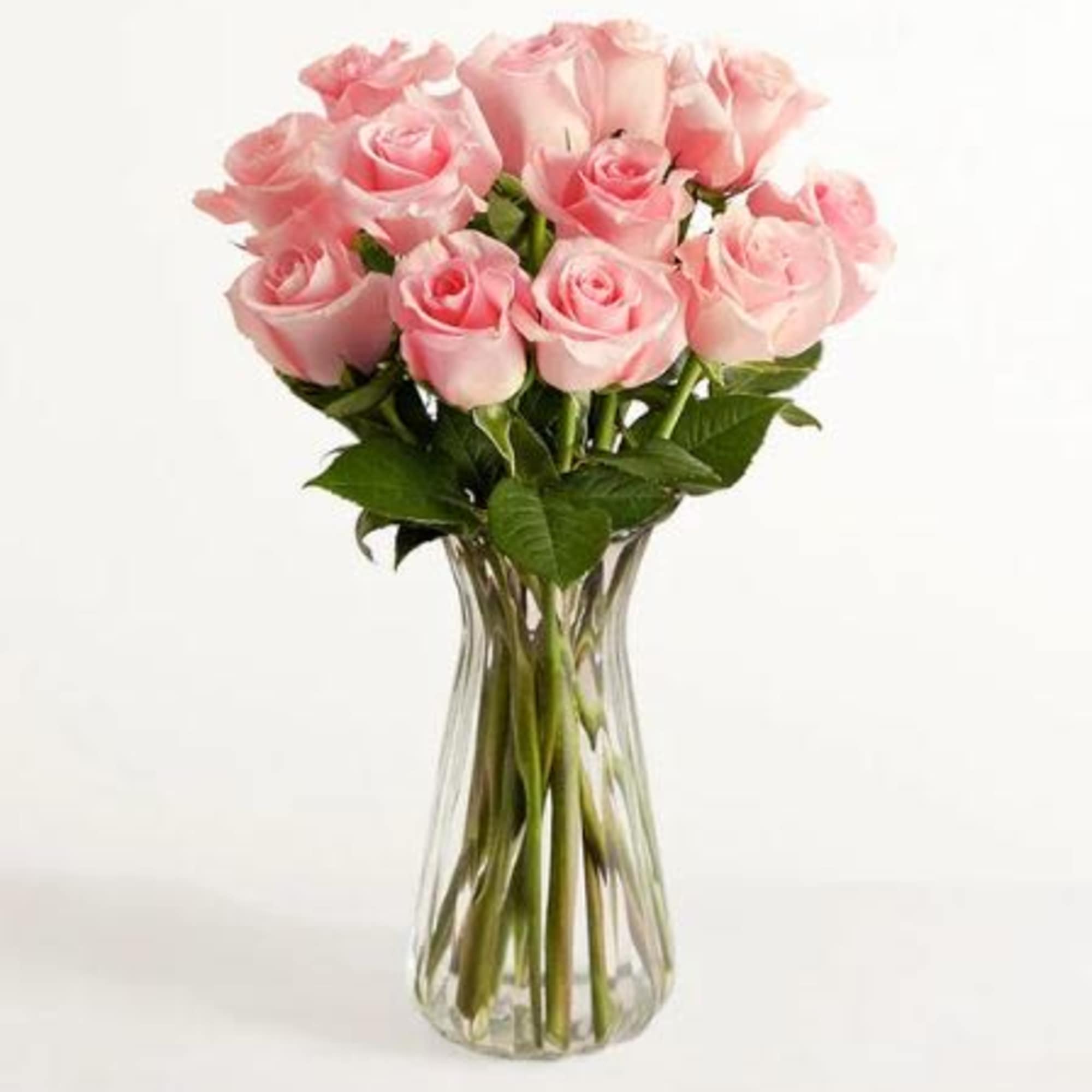  Pet Friendly?
Yes . Roses are considered non-toxic to cats and dogs