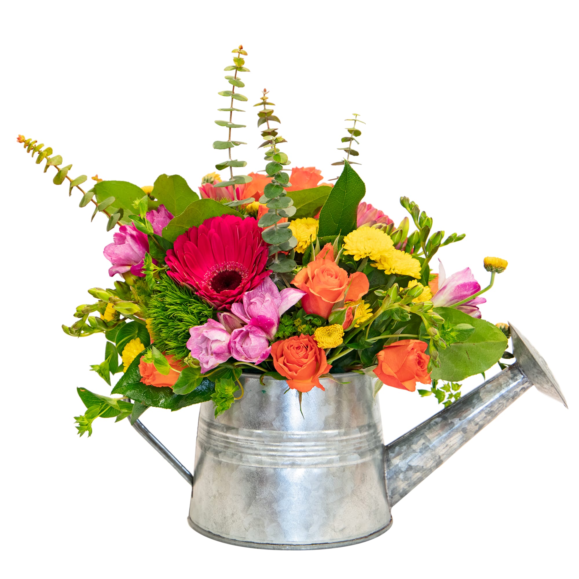 Bright mixed flowers in pink, orange, yellow, and green arranged in a silver metal watering can