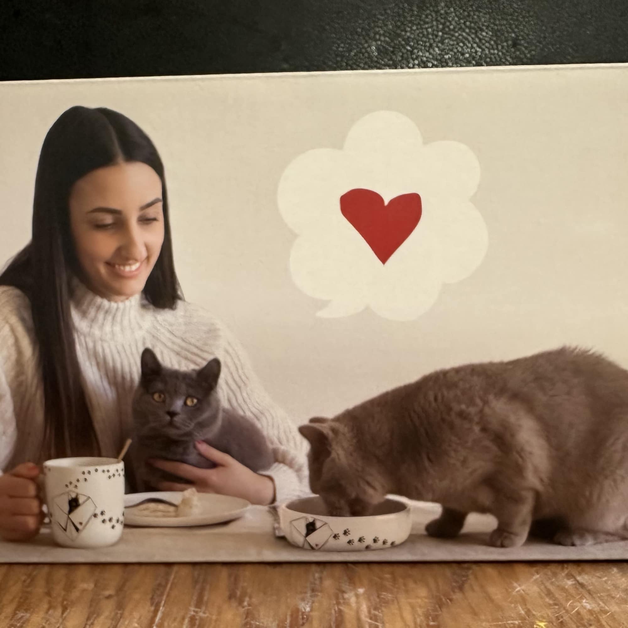 Gift box with a woman holding a cat and another cat eating from a bowl