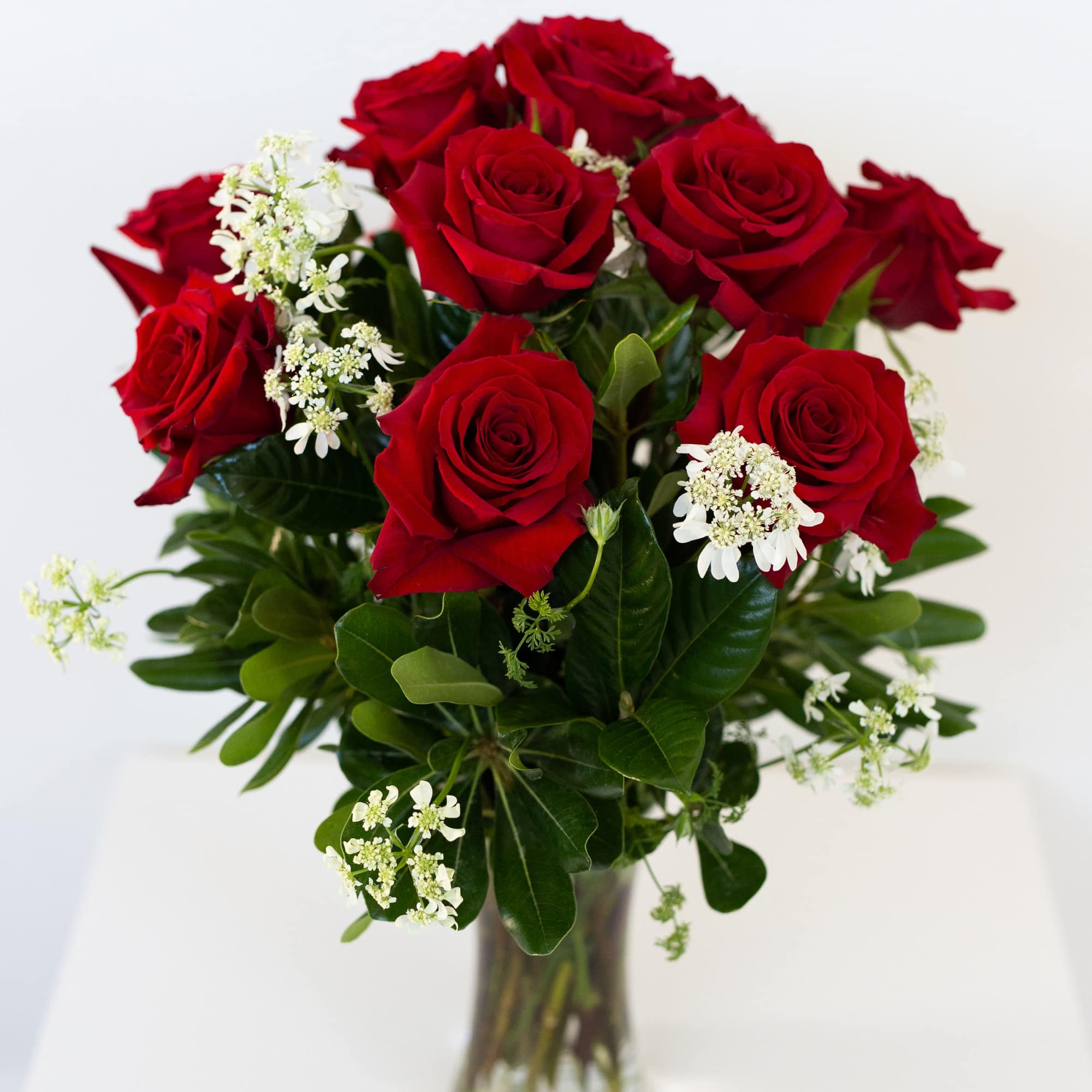 Red roses arranged in a clear glass vase with small white filler flowers