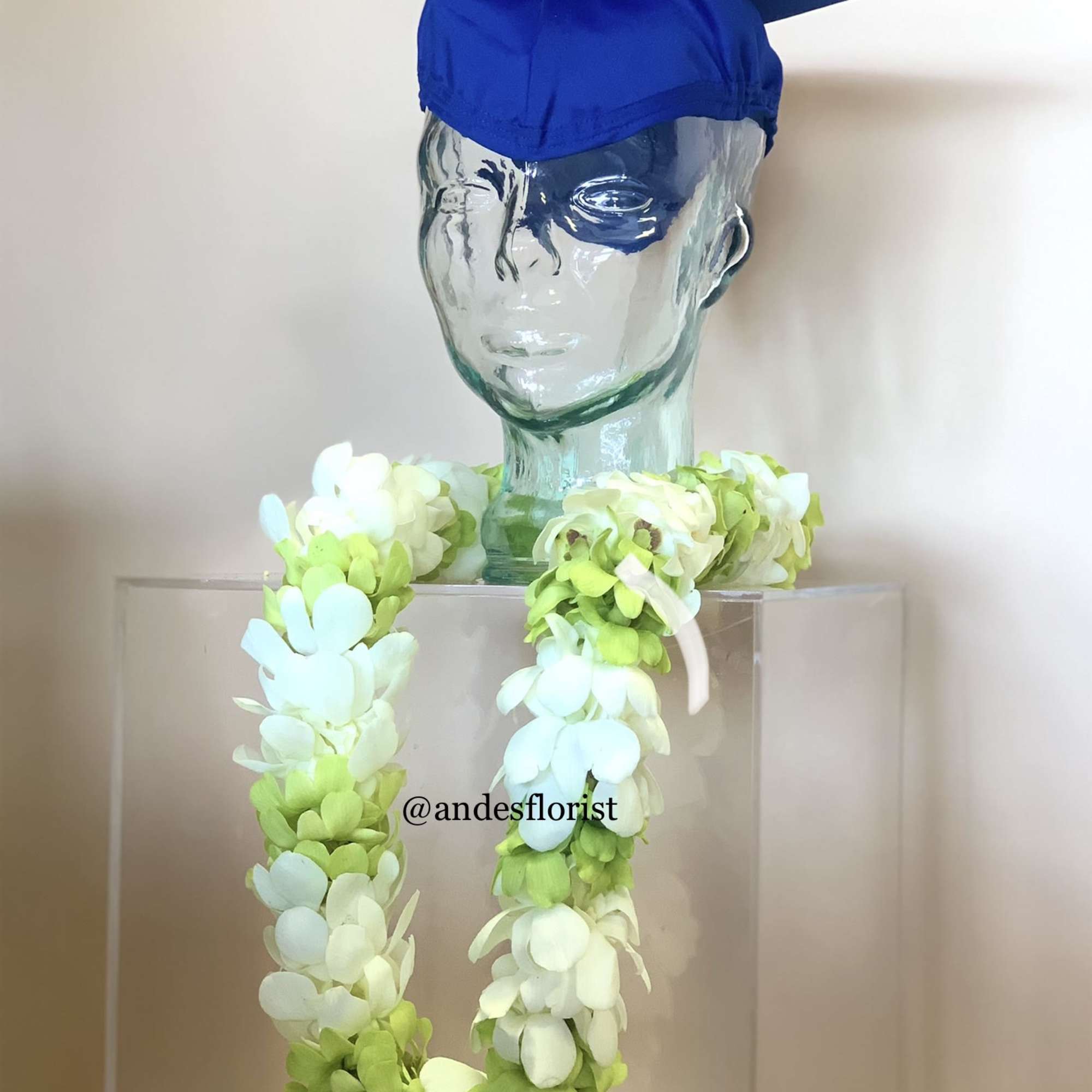 Glass bust wearing a blue graduation cap and a white-green flower lei