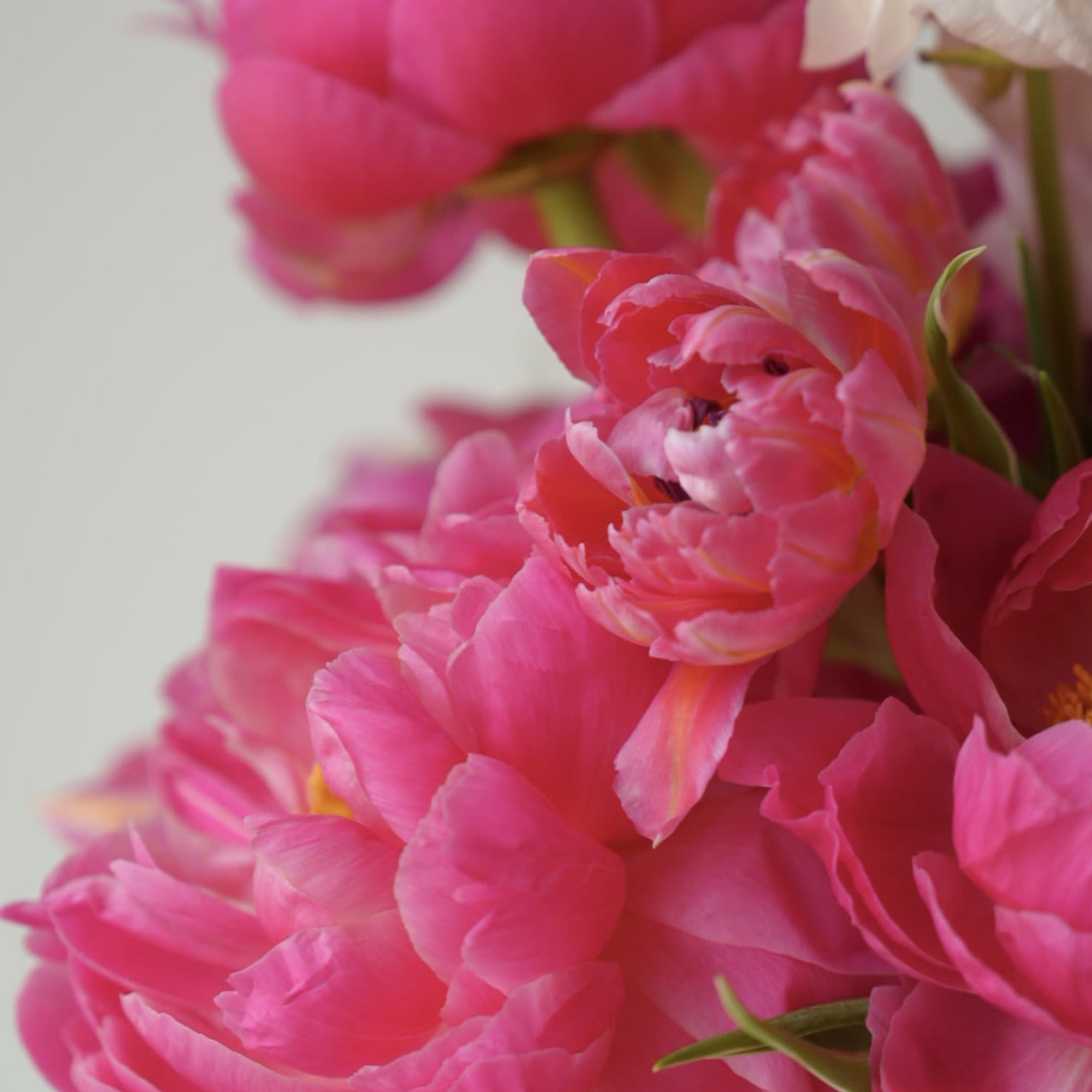 A soft and romantic spring arrangement in layered shades of blush pink