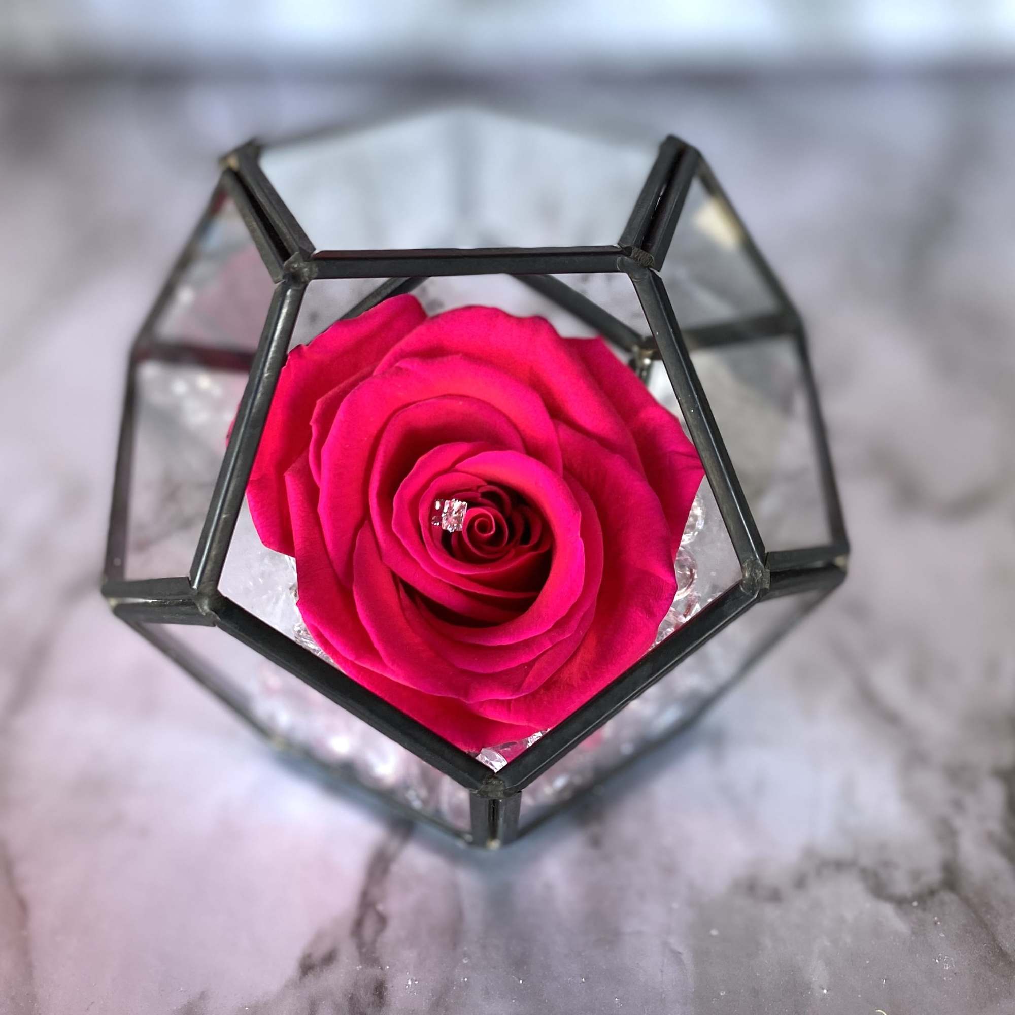 Meet our Everlasting Roses - Mini Edition! This is a REAL rose