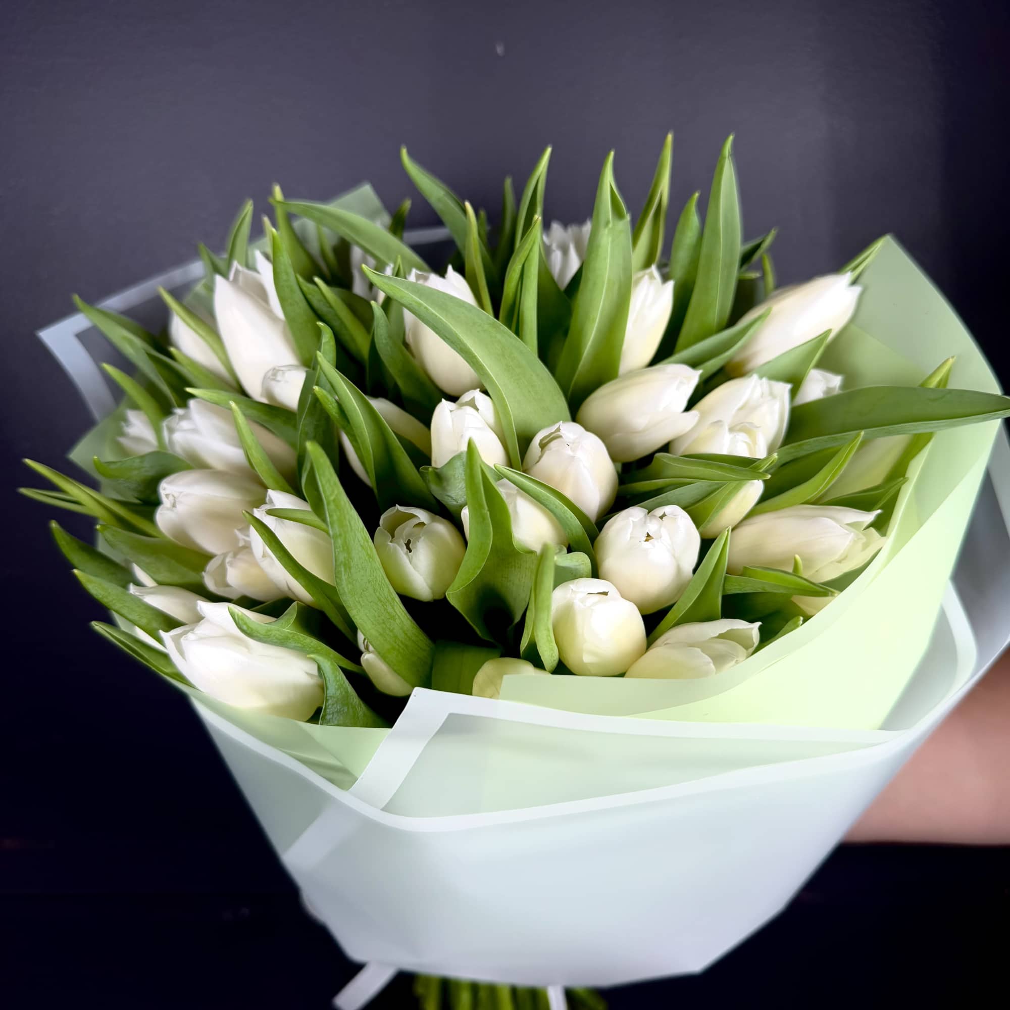 Bouquet of white tulips wrapped in pale green and white paper