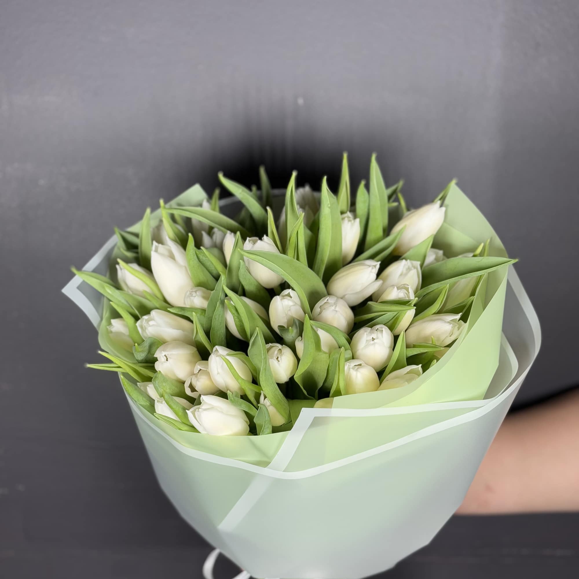 Bouquet of white tulips wrapped in pale green paper