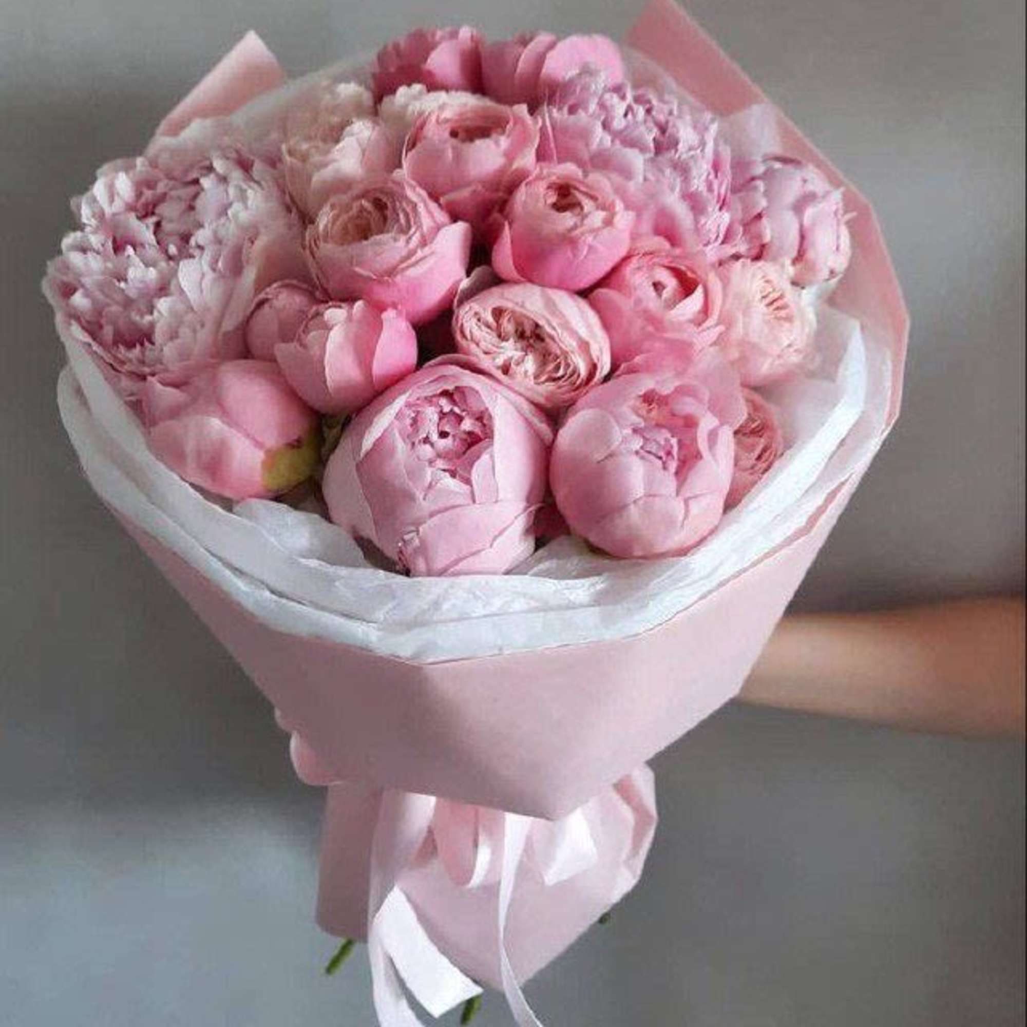 Peonies　ピオーニ