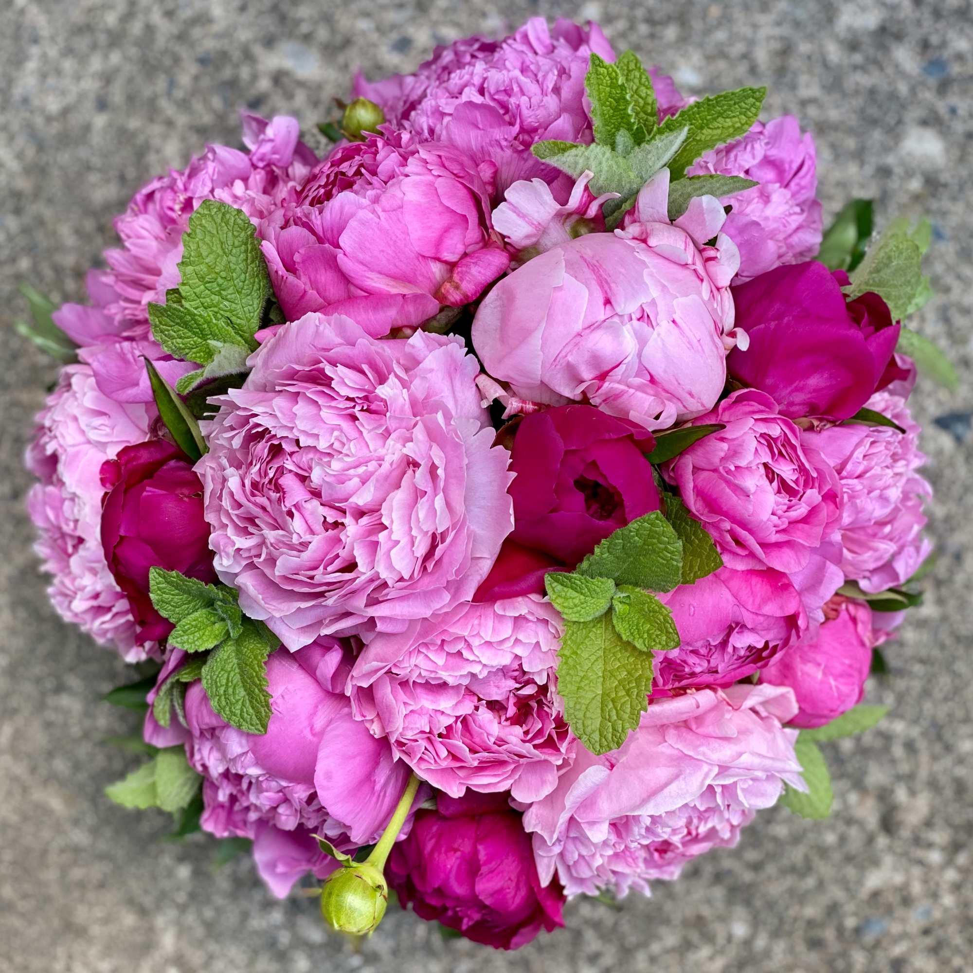 Pink peony bouquet with mint sprigs