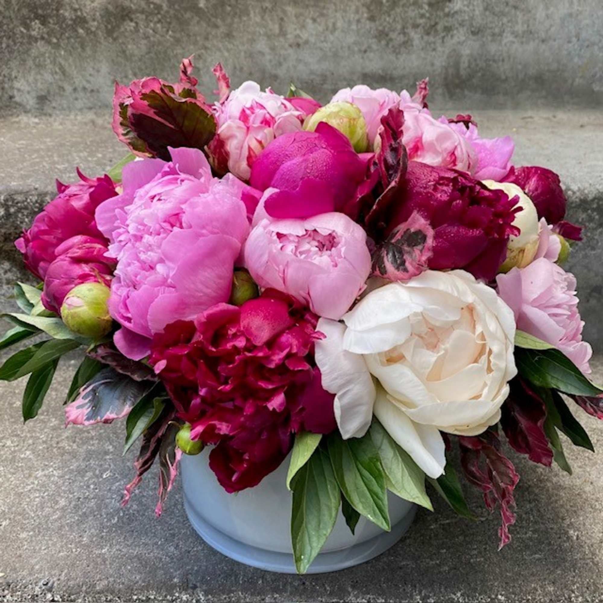 Pink and white peonies arranged in a white container