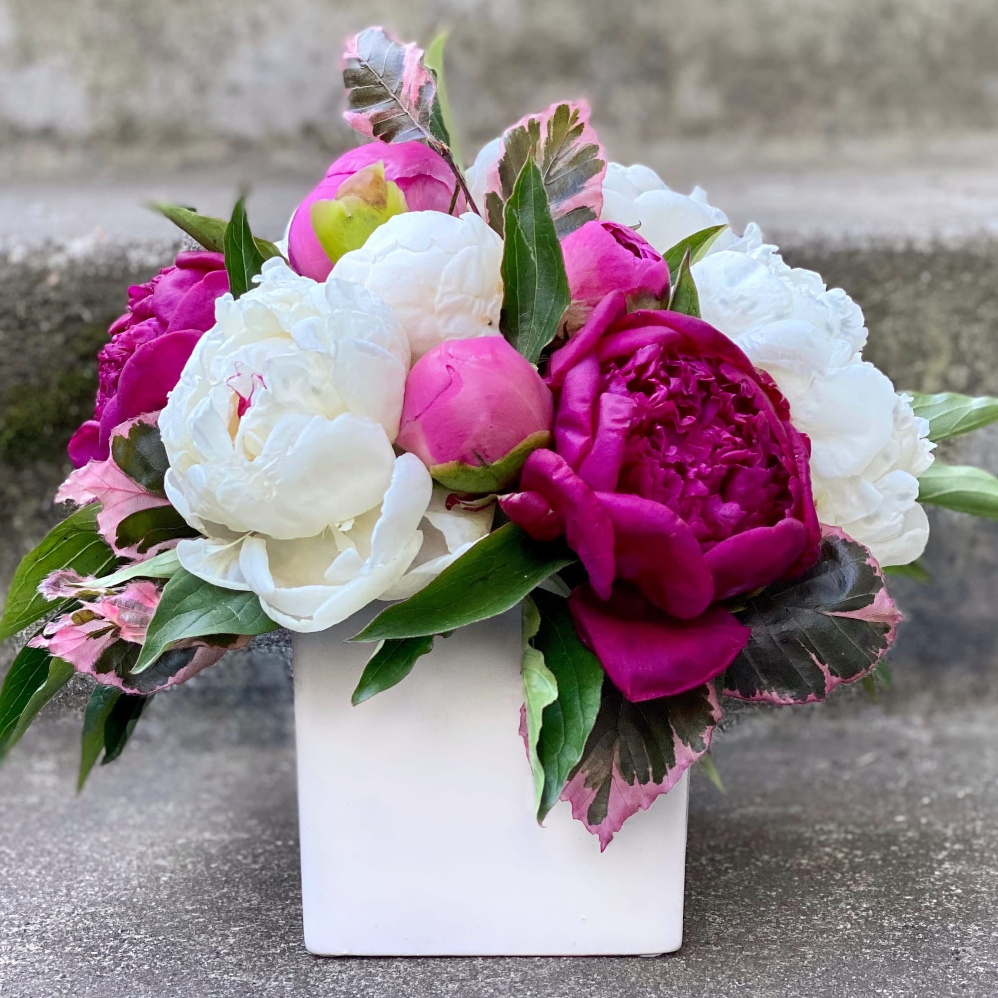 Pink and white peonies arranged in a white square vase