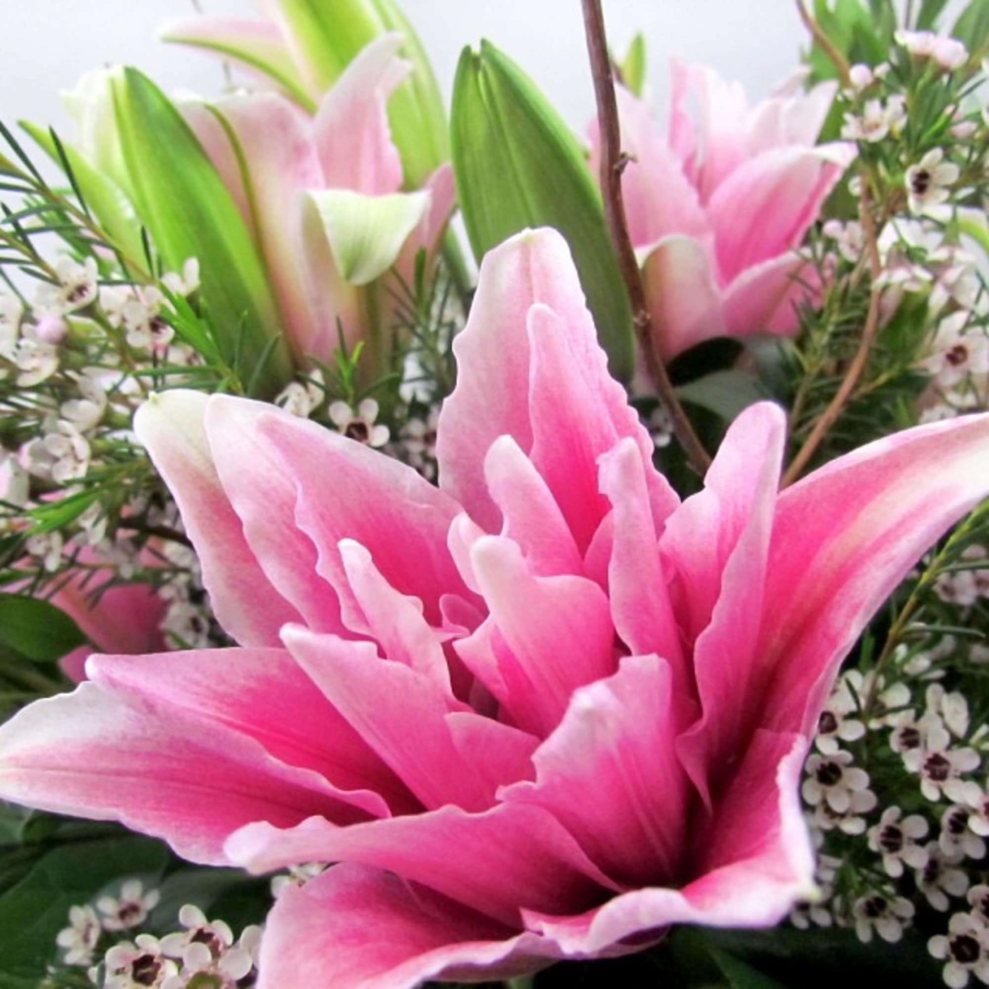 Pink lilies with small white filler flowers and greenery