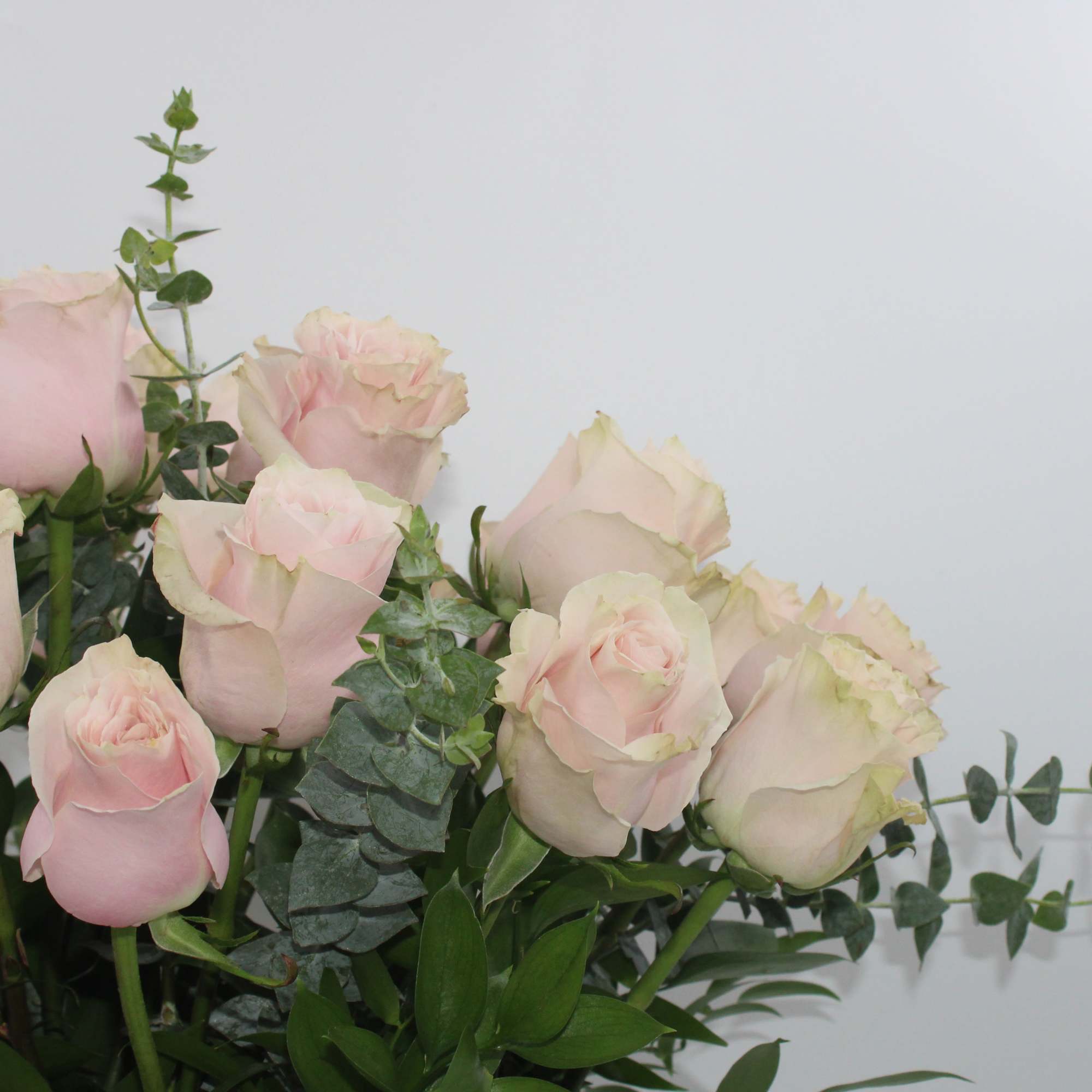 Bouquet of pale pink roses with eucalyptus greenery