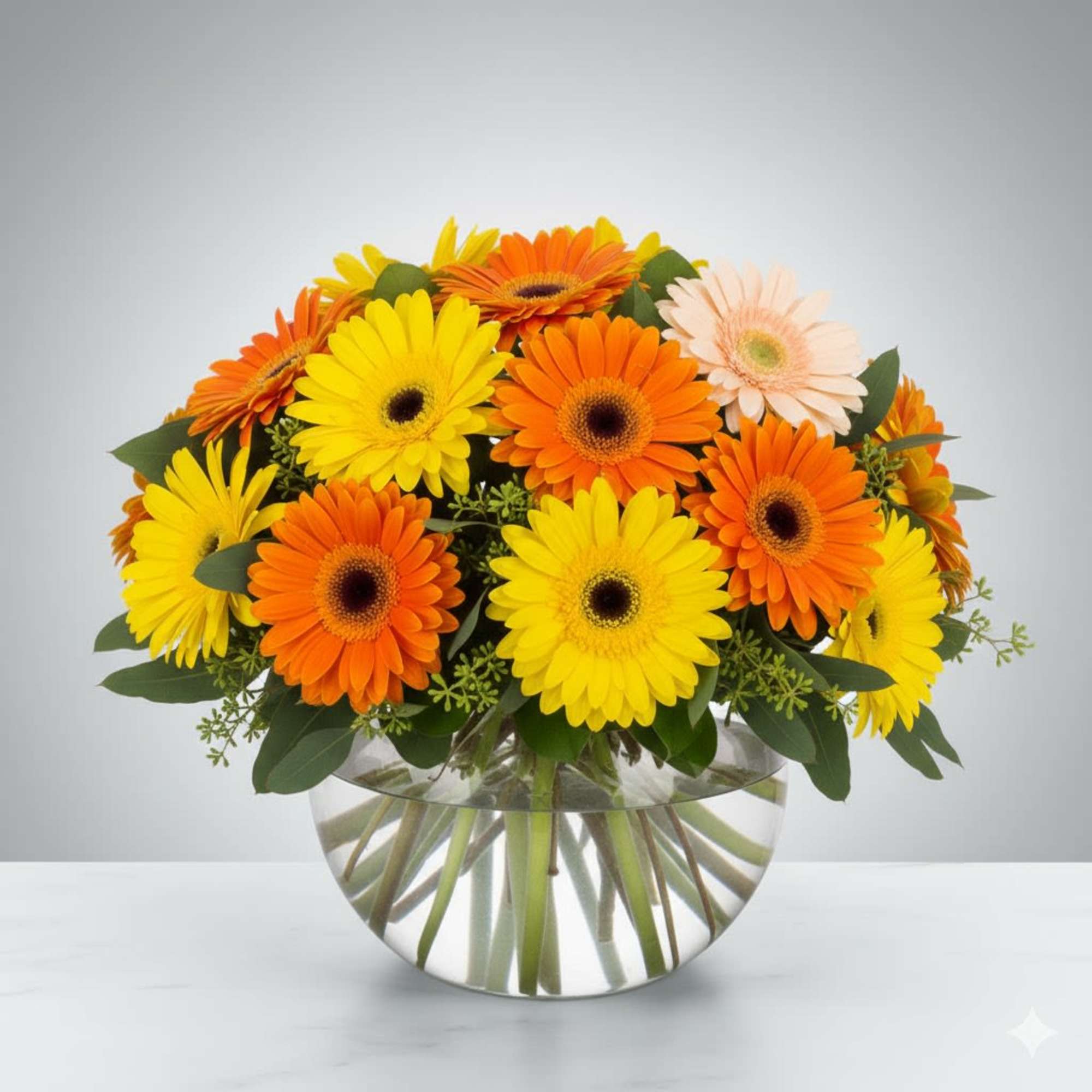  Pet Friendly?
No &mdash; Daisies/chrysanthemums can be mildly toxic to cats and