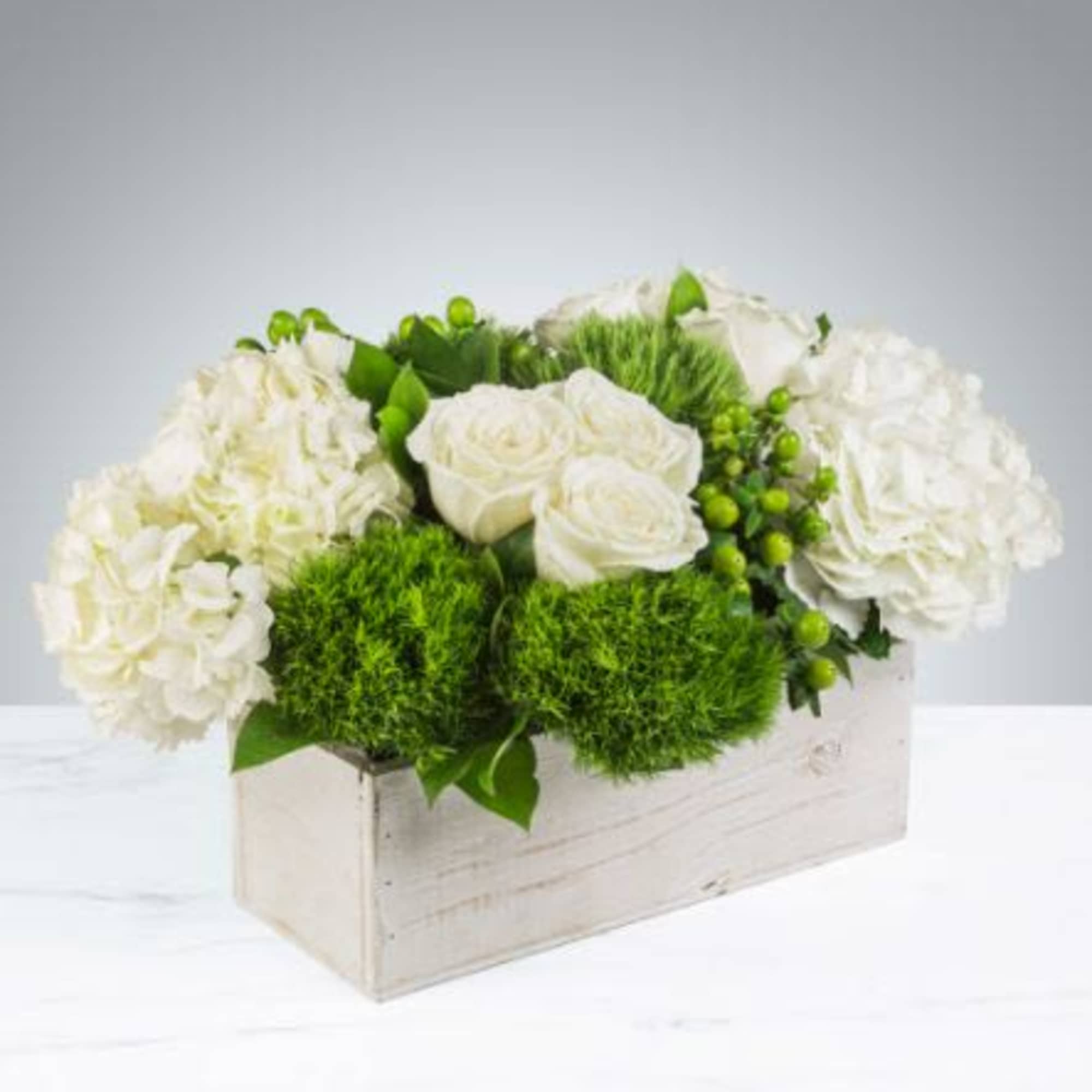  Pet Friendly?
NO . While roses are generally safe, Hydrangeas contain cyanogenic