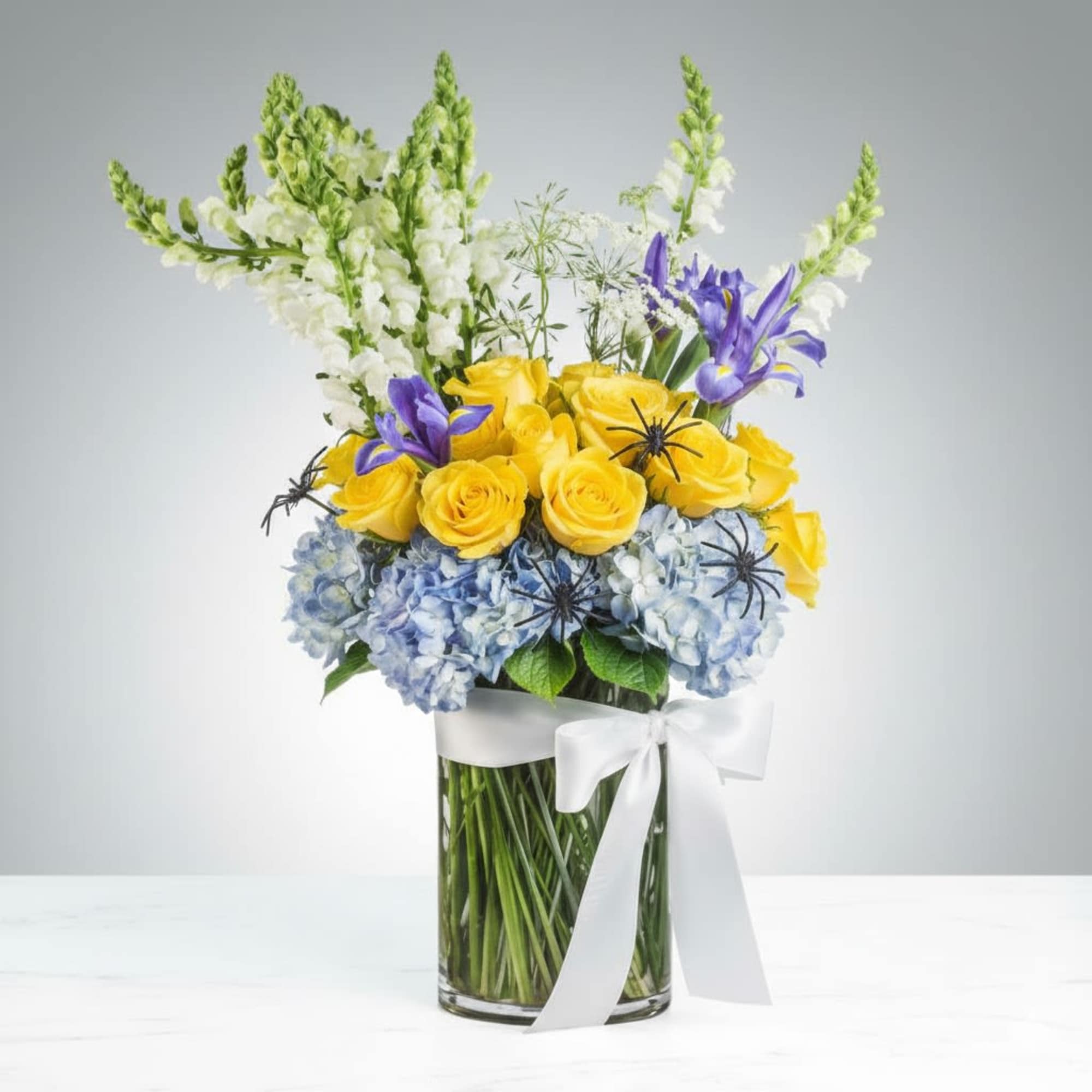  Pet Friendly?
NO &mdash; Delphinium can be toxic to cats and dogs.