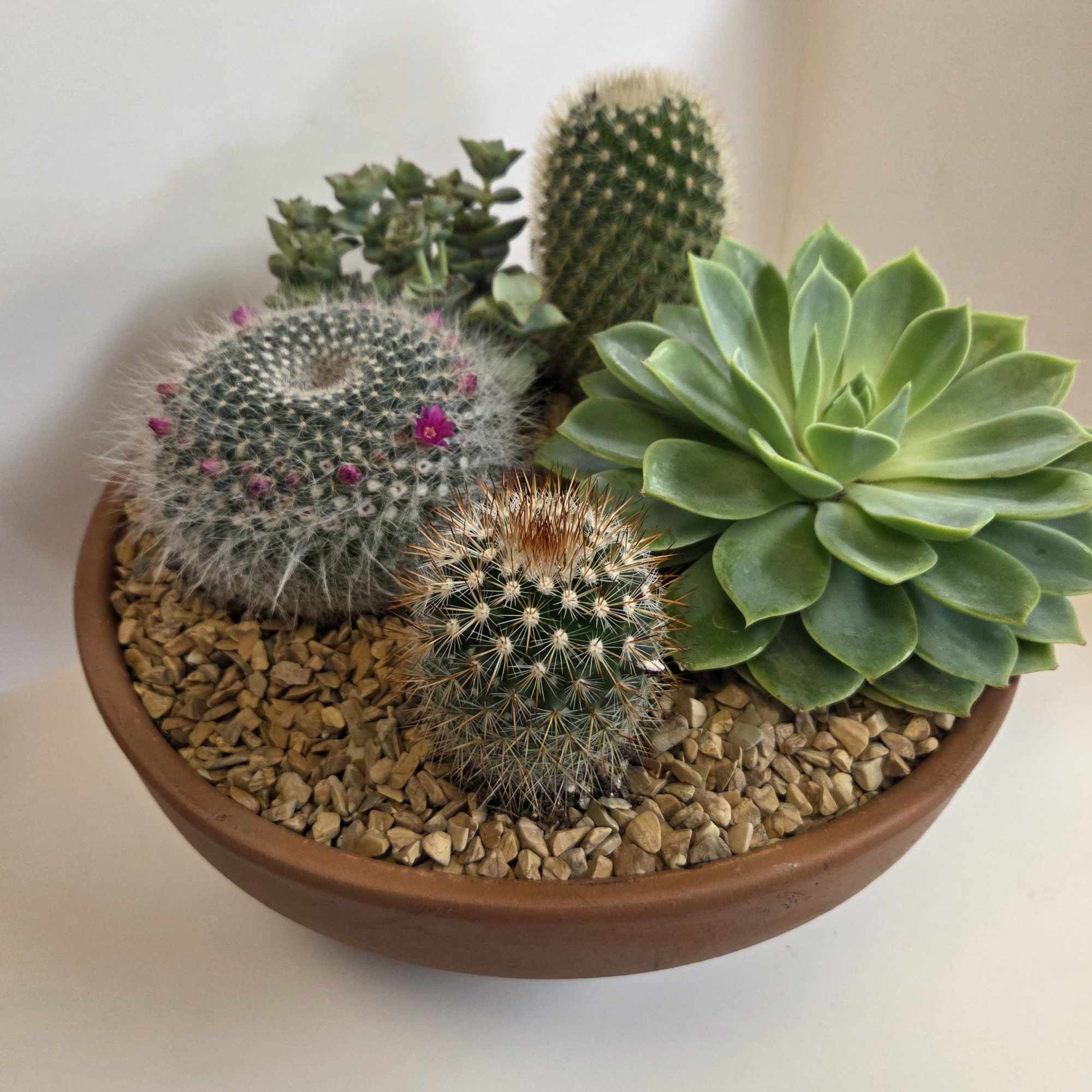 This arrangement is easily made larger.