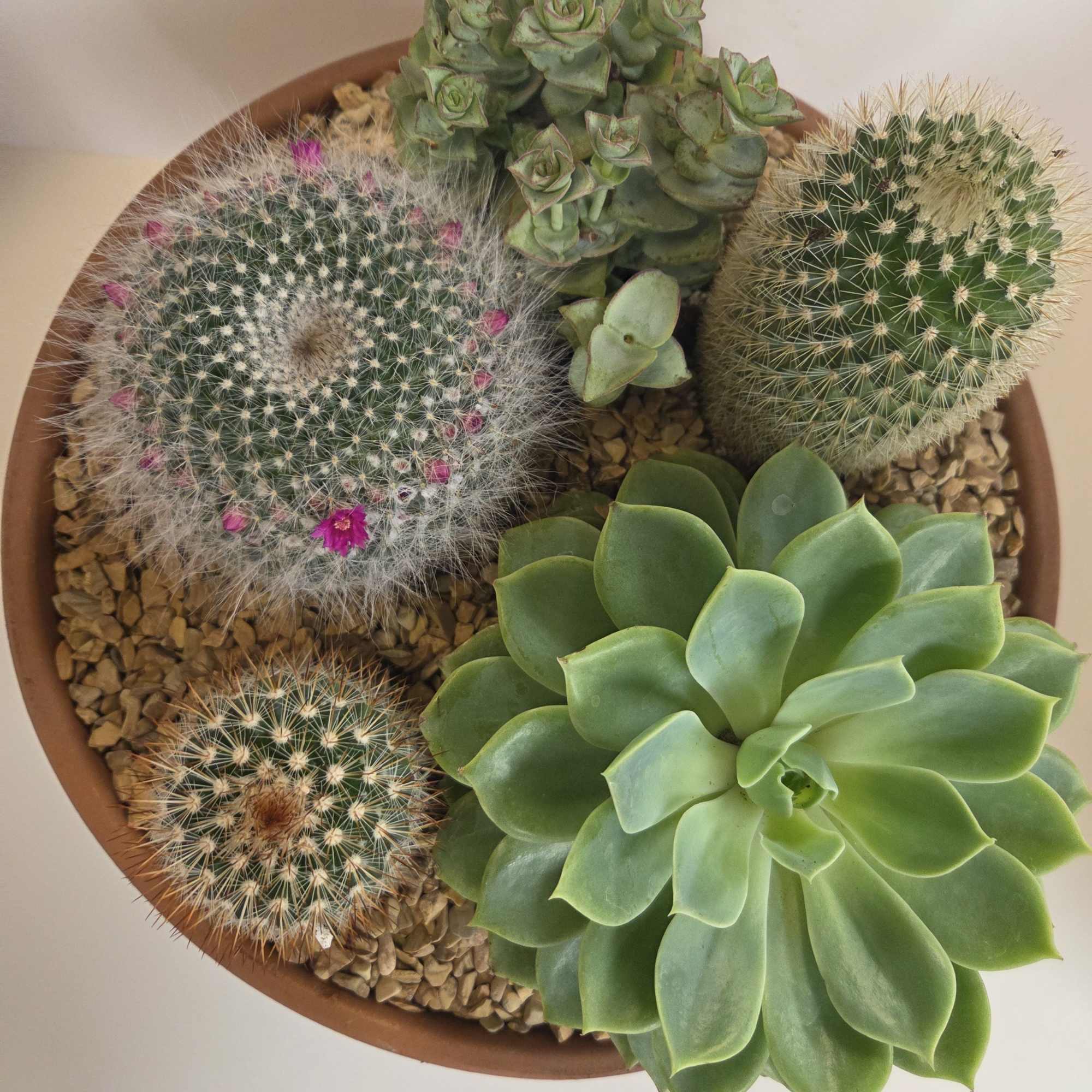 This arrangement is easily made larger.