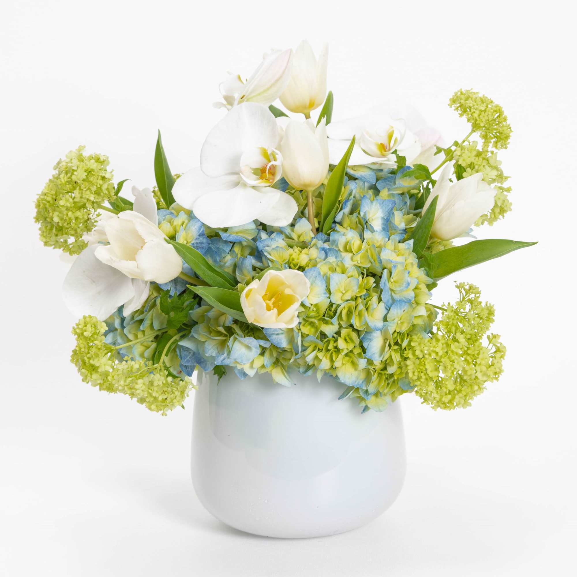 White tulips and orchids in a white vase with blue hydrangeas
