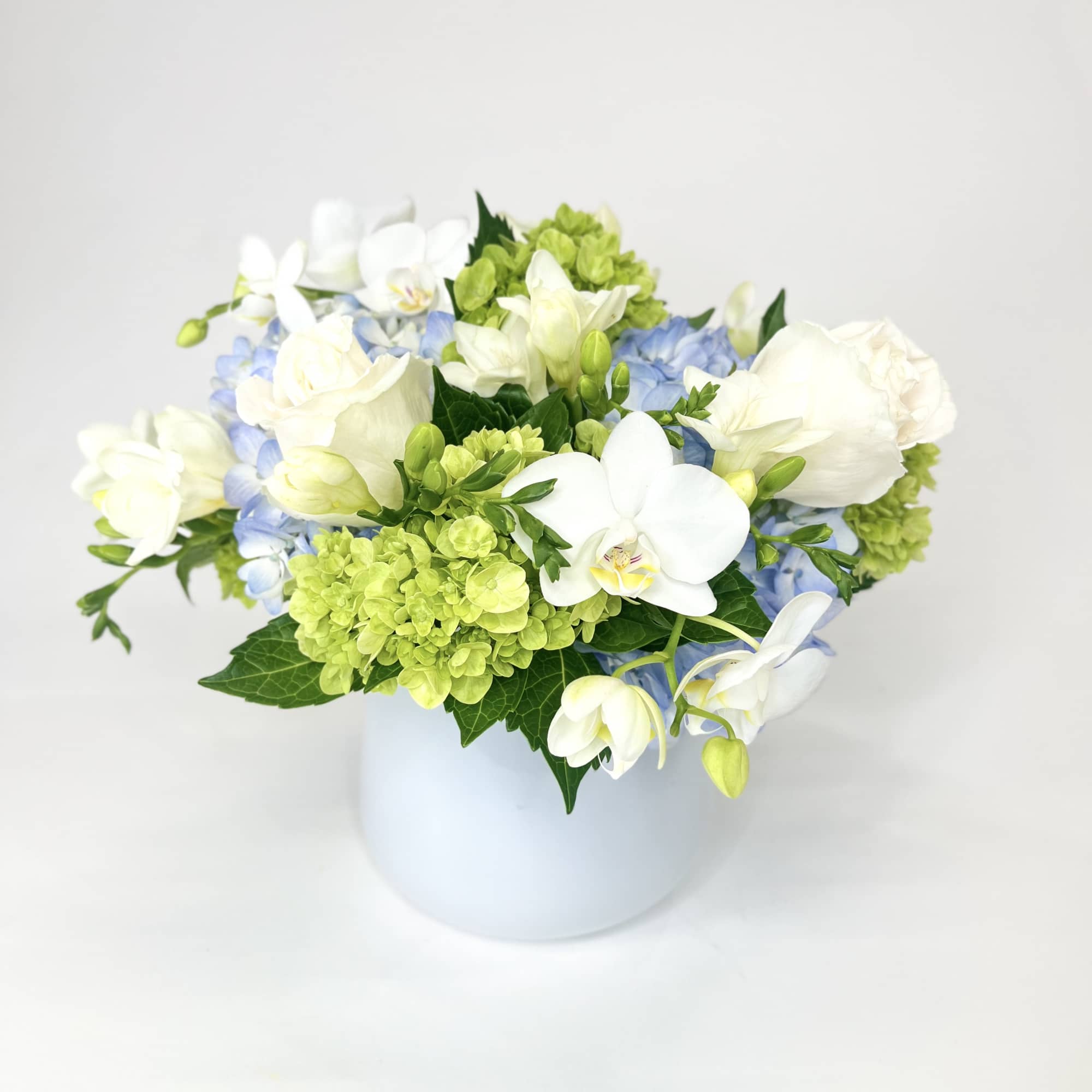 White and blue flowers arranged in a white vase