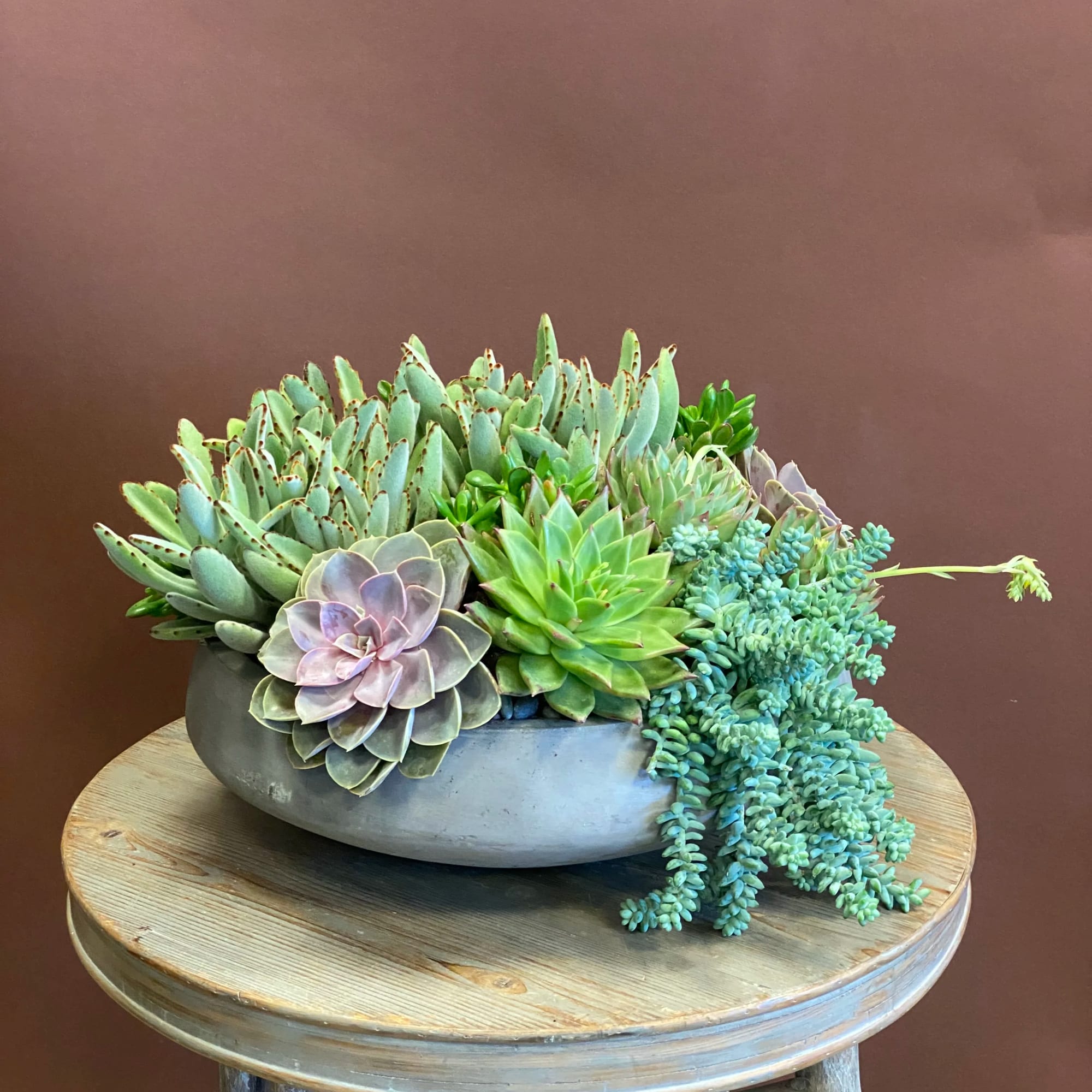Succulent arrangement in a shallow gray bowl on a wooden table