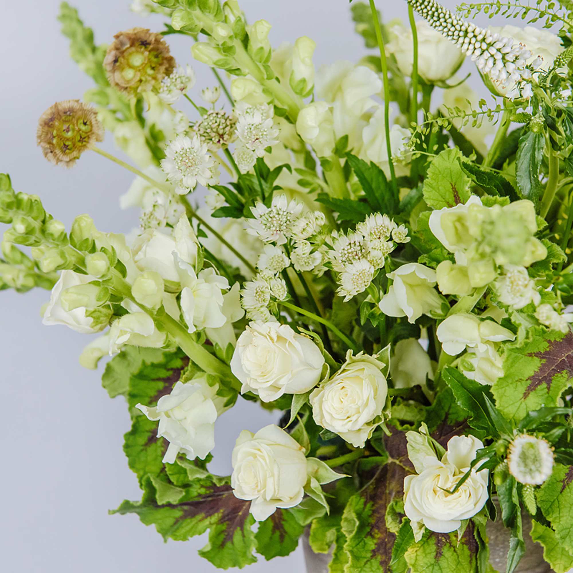 A bucket full of sweet white and green floral, our kind of
