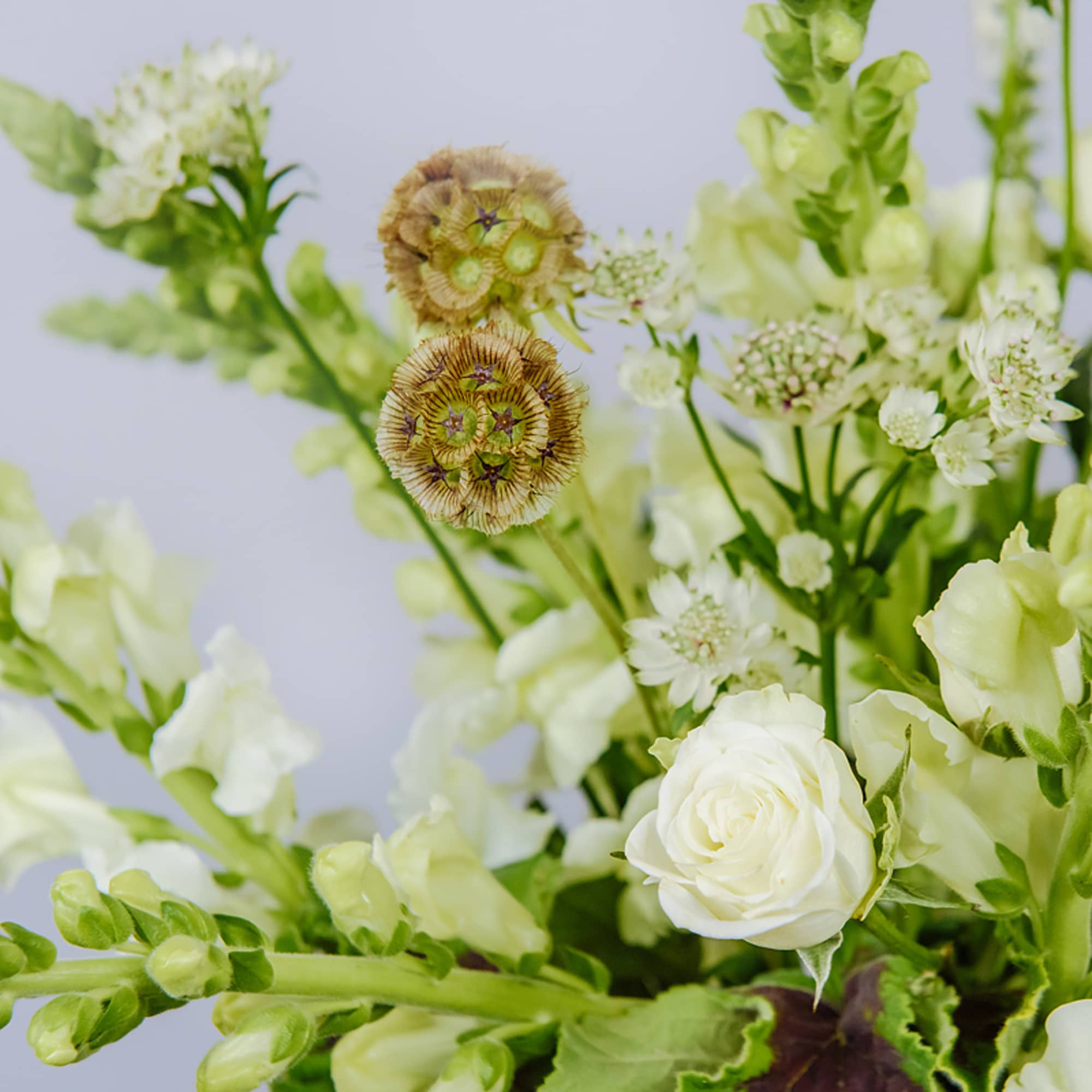 A bucket full of sweet white and green floral, our kind of