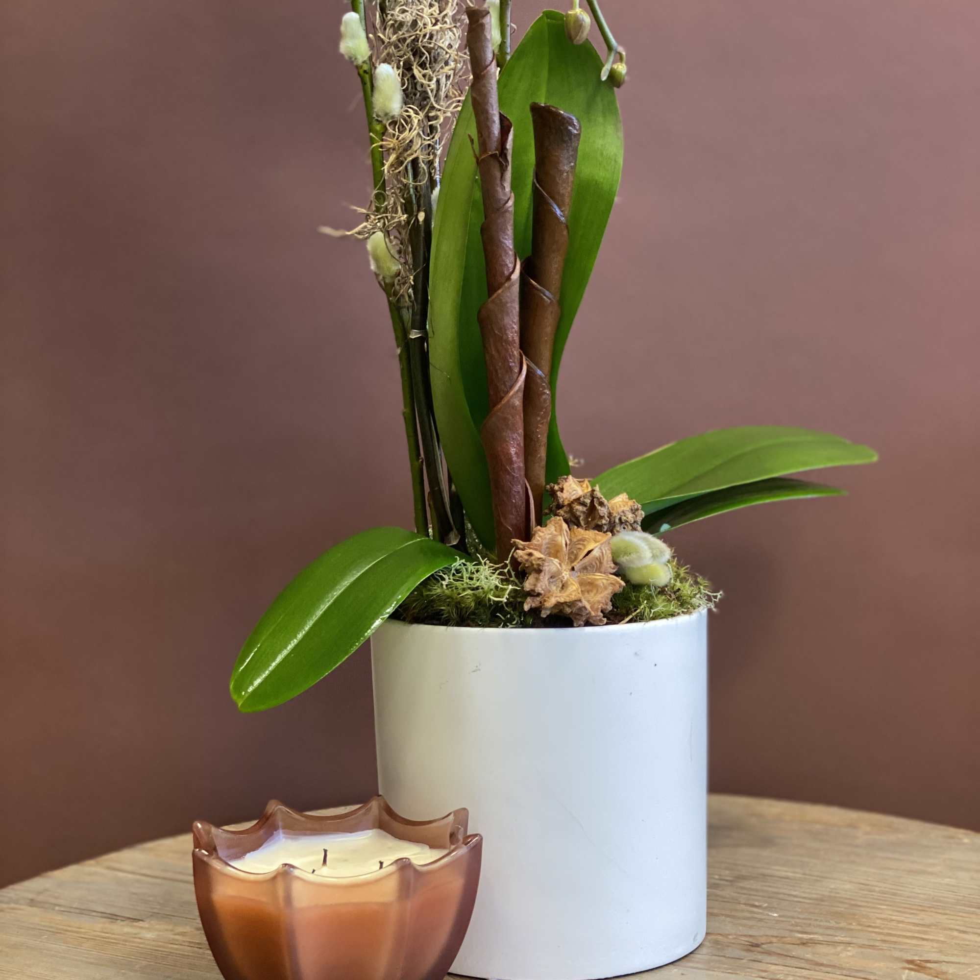 Potted orchid arrangement with a candle in front