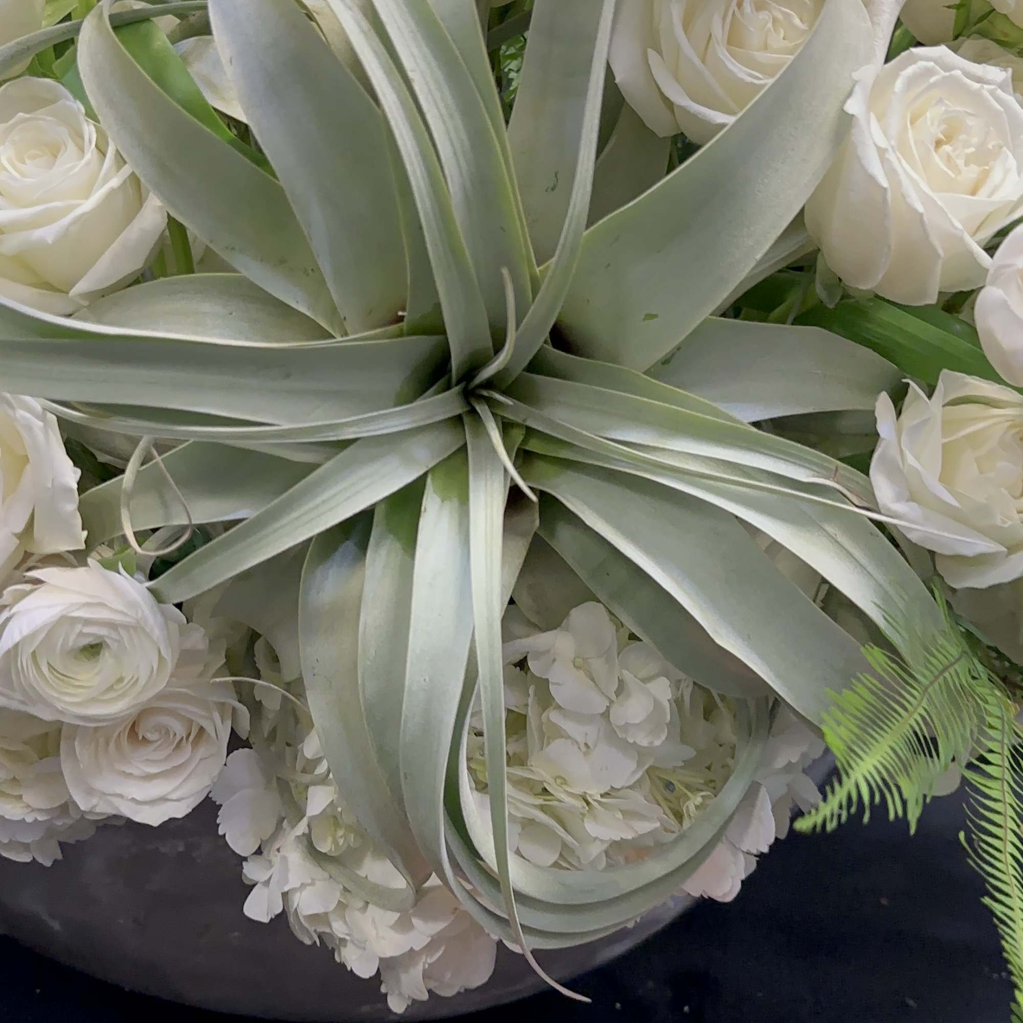 White Elegance boasts a captivating blend of Blossoms, White Tulips, Roses, Ranunculus