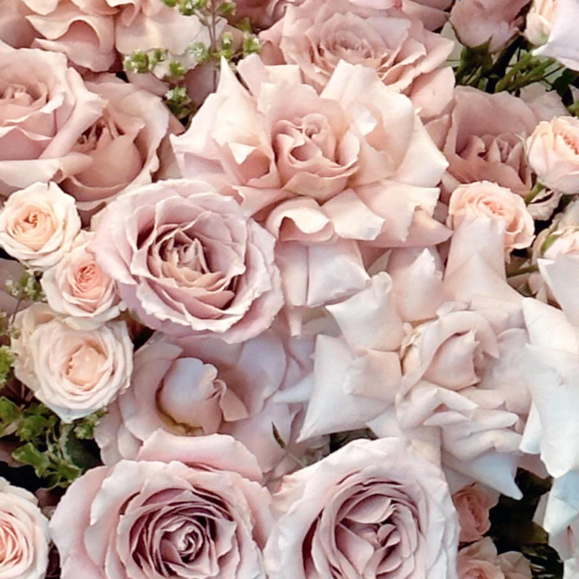 Blush pink roses and carnations in a dense bouquet