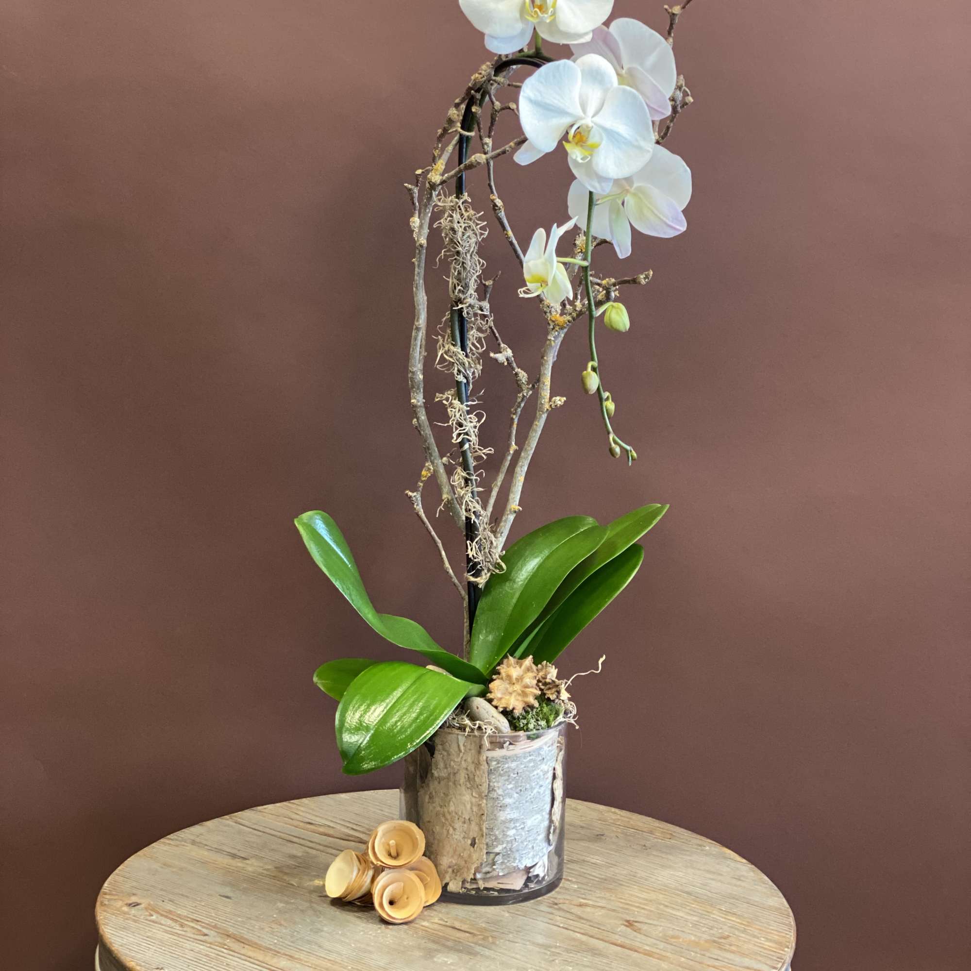 Embrace the organic beauty of our Earthy arrangement. With Phalaenopsis Orchids and