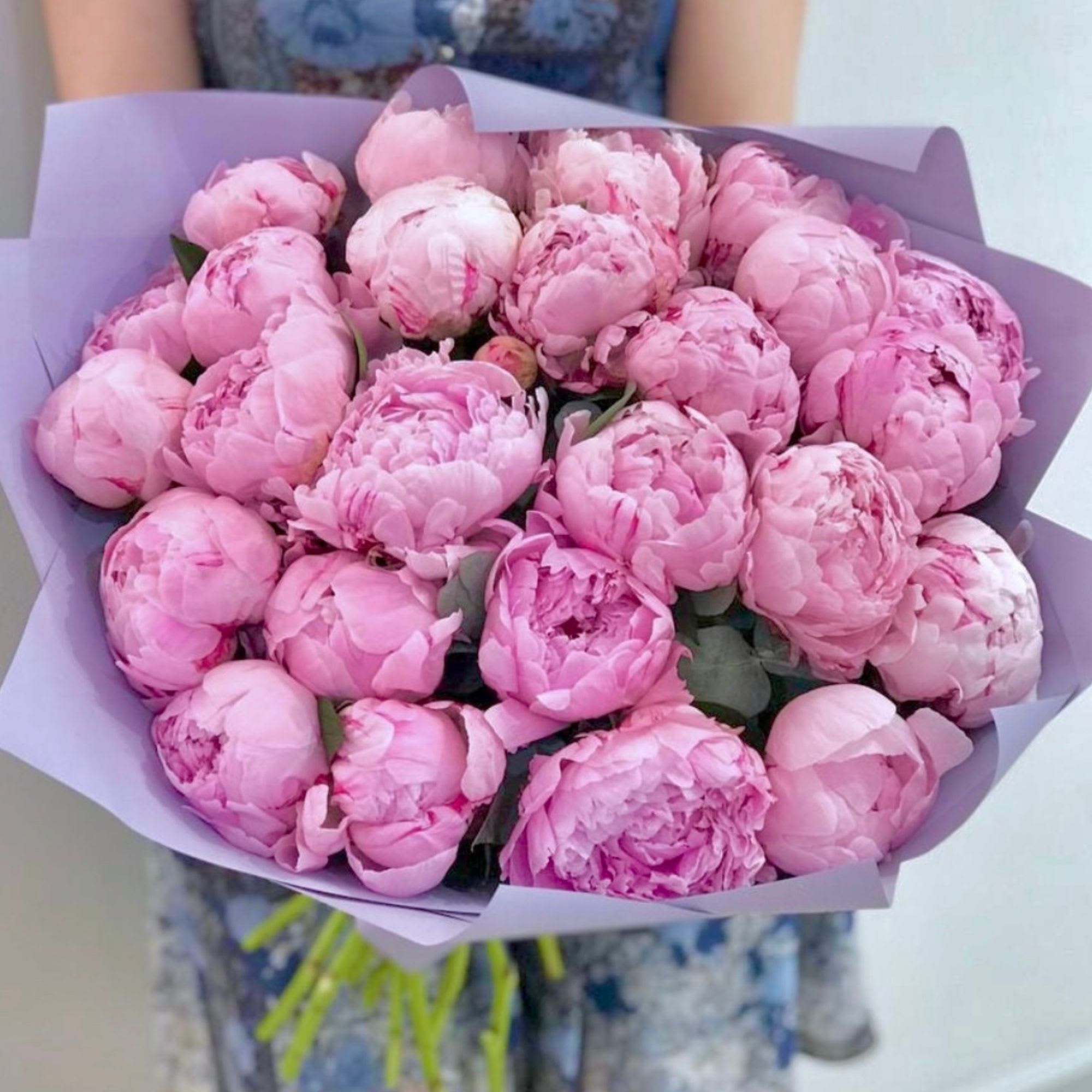 Bouquet of pink peonies wrapped in lavender paper