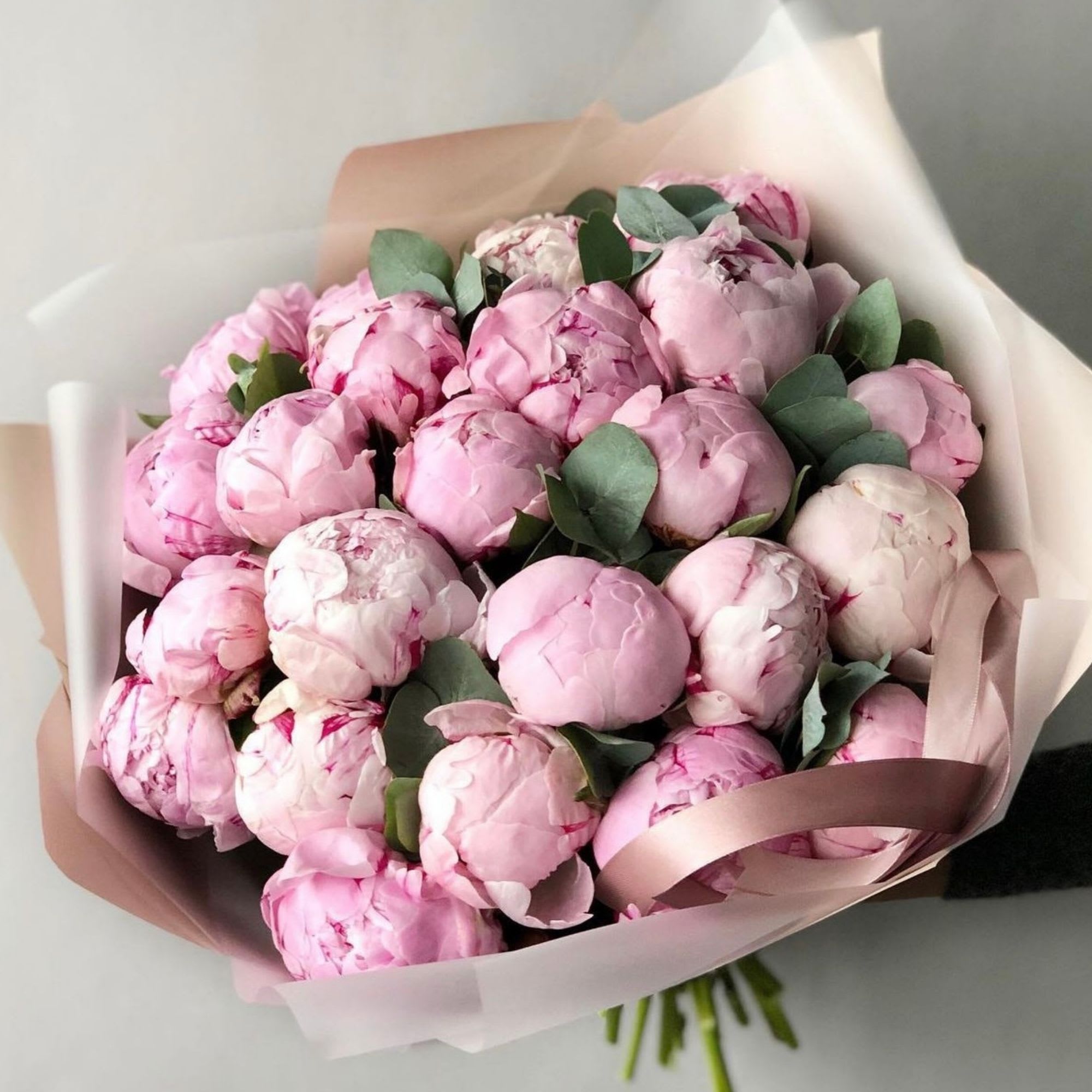 Bouquet of pink peonies wrapped in blush paper with ribbon