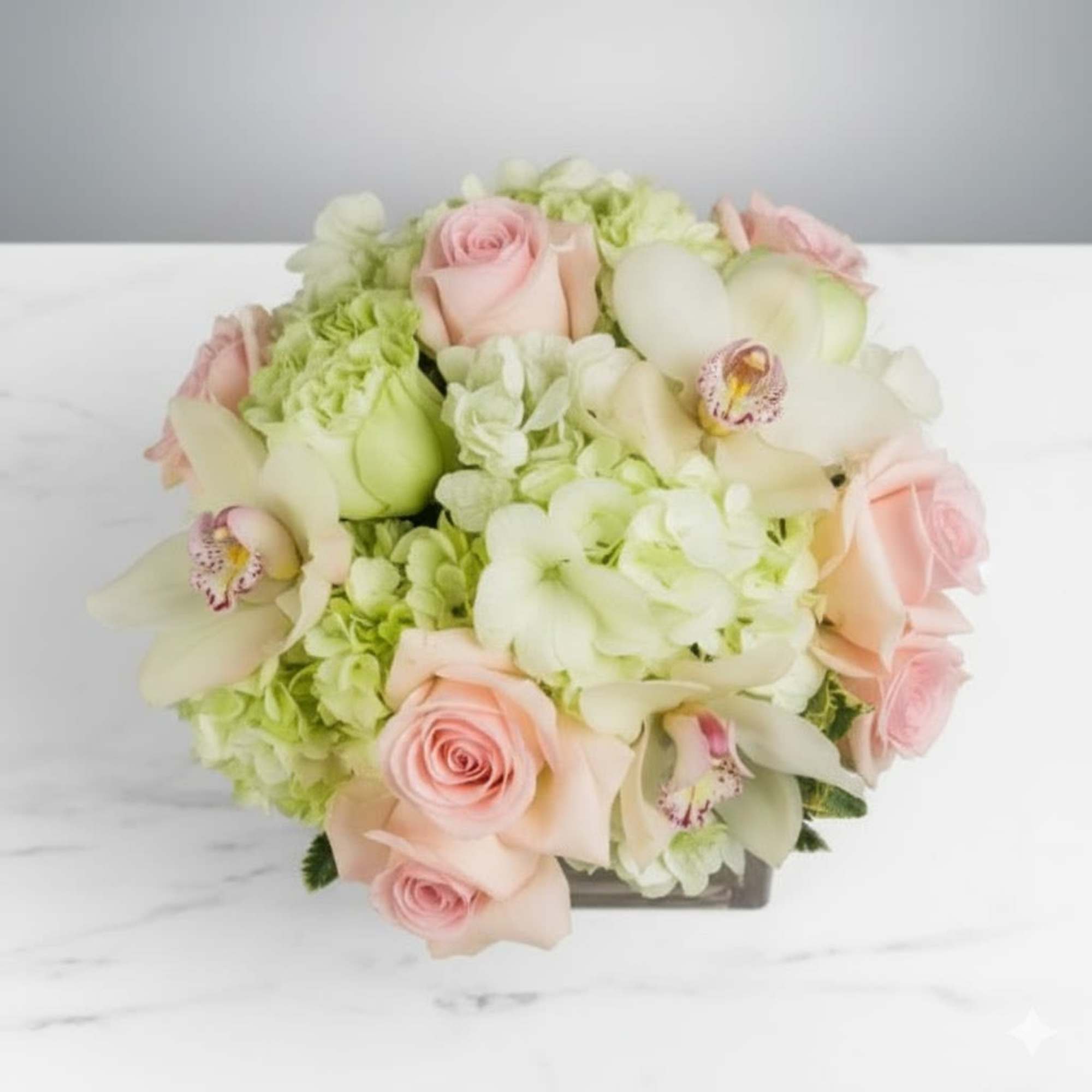  Pet Friendly?
No &mdash; cymbidium orchids may cause mild digestive upset in